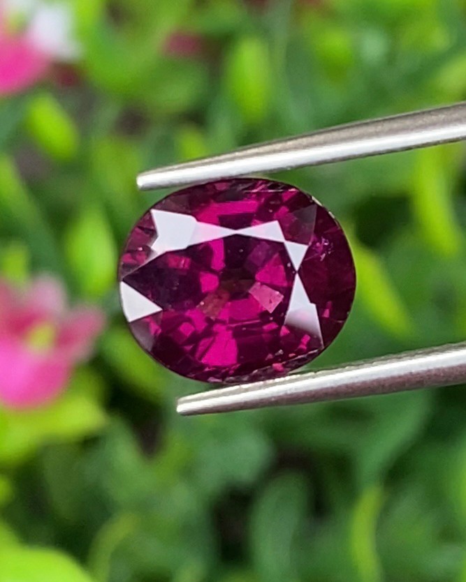 พลอย โรโดไลต์ กาเน็ท Rhodolite Garnet 3.67 กะรัต Cts.พลอยแท้ อัญมณีมงคลประจําวันเกิด เครื่องประดับพลอย