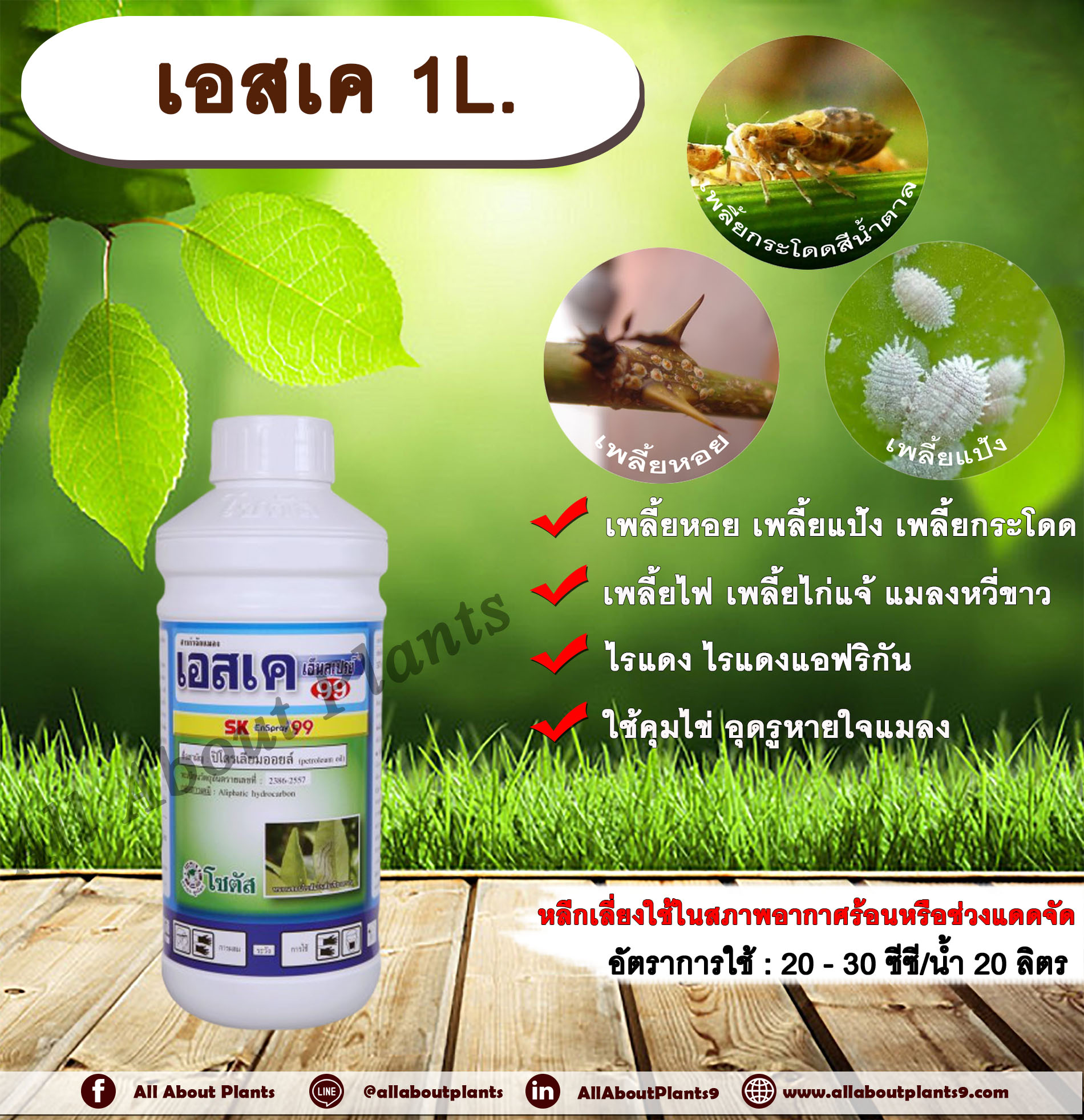 เอสเค 1 L. ปิโตรเลียมออยล์ คุมไข่ อุดรูหายใจแมลง คุมไข่เพลี้ย แมลง หนอน สารกำจัดแมลง allaboutplants ชิ้น