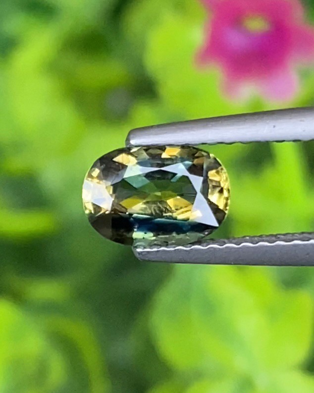 พลอย ลักษณะพิเศษ 2 สี Spacific Bi-Color Sapphire 1.41 กะรัต (Cts.) พร้อมใบเซอร์ พลอยแท้ อัญมณีมงคลประจําวันเกิด เครื่องประดับพลอย