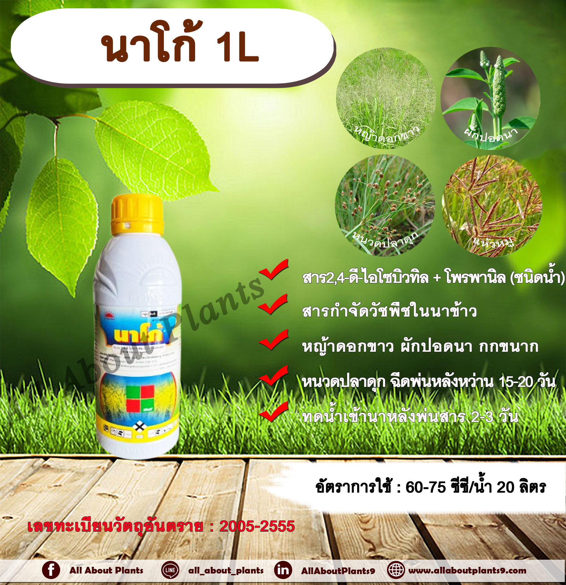 นาโก้ 1L. 2,4-ดี-ไอโซบิวทิล +โพรพานิล สารกำจัดวัชพืช ในข้าวนา กำจัดหญ้าใบแคบ หญ้าใบกว้าง และกก หญ้าดอกขาว ผักปอดนา กกขนาก กกทราย หนวดปลาดุก ขวด