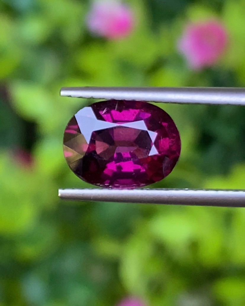 พลอย โรโดไลต์ กาเน็ท Rhodolite Garnet 3.31 กะรัต Cts.พลอยแท้ อัญมณีมงคลประจําวันเกิด เครื่องประดับพลอย