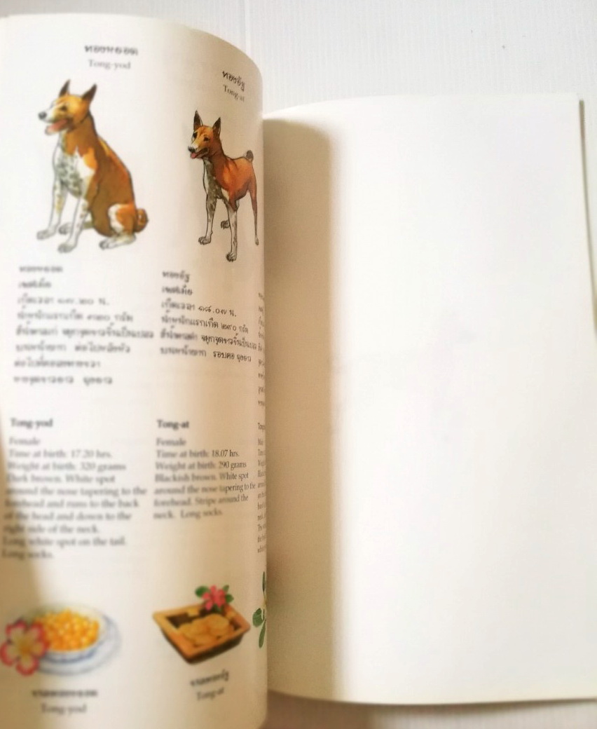 หนังสือเก่า มีตำหนิ โปรตรวจสอบทุกภาพ พระราชนิพนธ์ พระบาทสมเด็จพระเจ้าอยู่หัวภูมิพลอดุลยเดช His Majesty King Bhumibol Adulyadej Biography of a Pet Dog เรื่อง ทองแดง ฉบับการ์ตูน พิมพ์ซ้ำครั้งที่ 1 พฤศจิกายน 2547 ผู้เขียนการ์ตูนประกอบพระราชนิพนธ์ : ชัย ราชวั