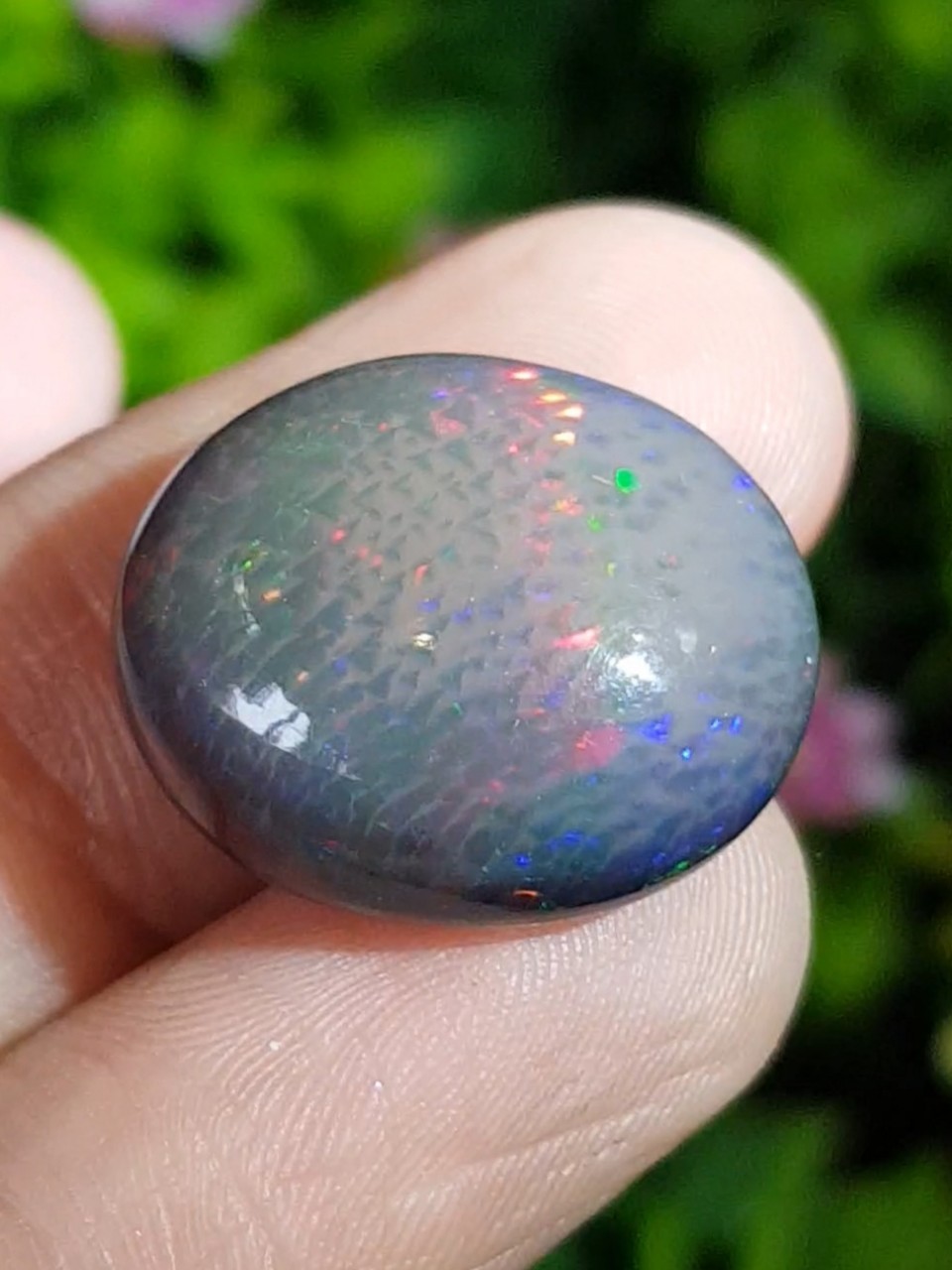 พลอย แบล็ก โอปอล Black Opal 13.73 กะรัต (Cts.) พลอยแท้ อัญมณีมงคลประจําวันเกิด เครื่องประดับพลอย