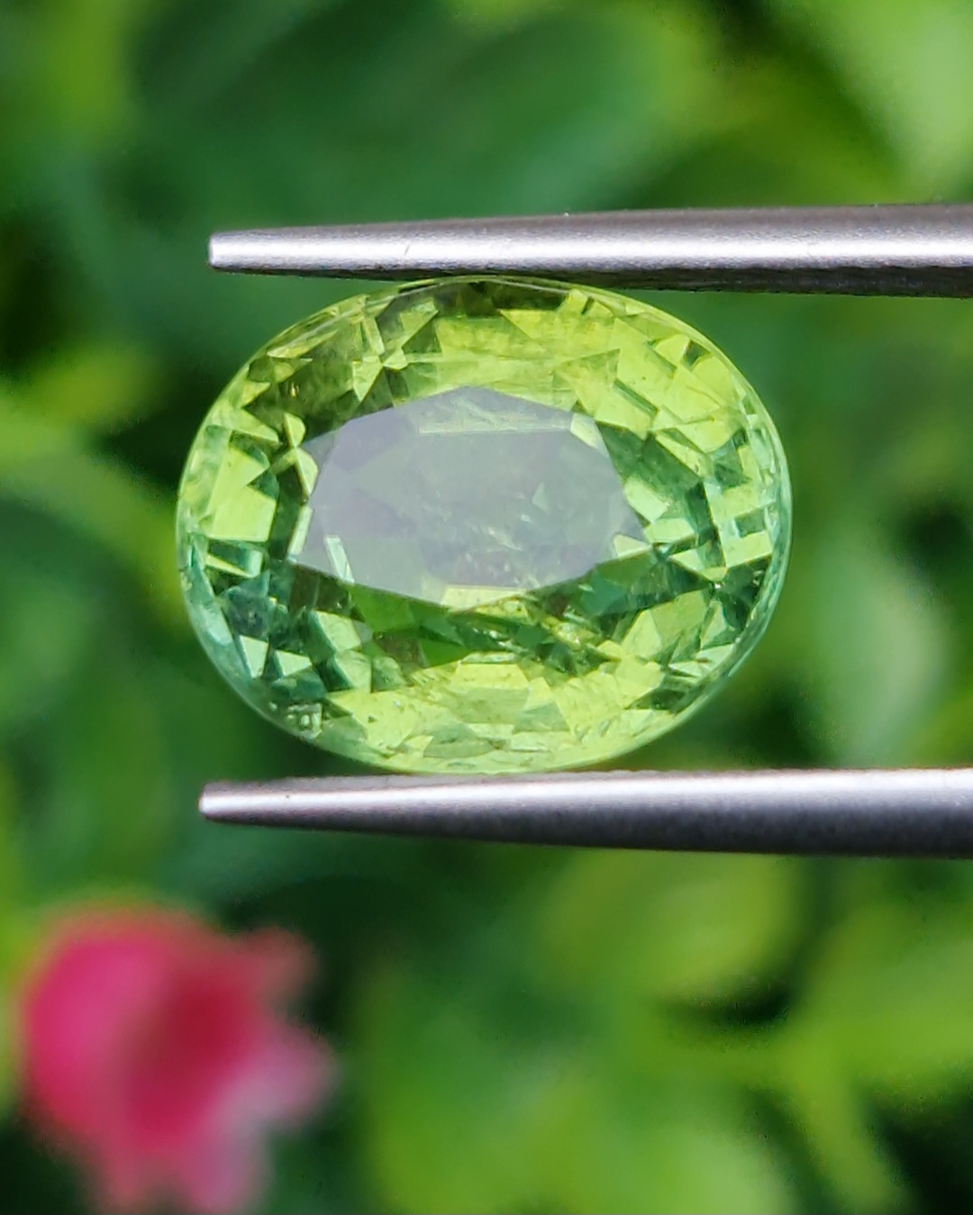 พลอย กรีน ทัวร์มารีน (Green Tourmaline) 6.80 กะรัต (Cts.) อัญมณีมงคลประจําวันเกิด เครื่องประดับพลอย