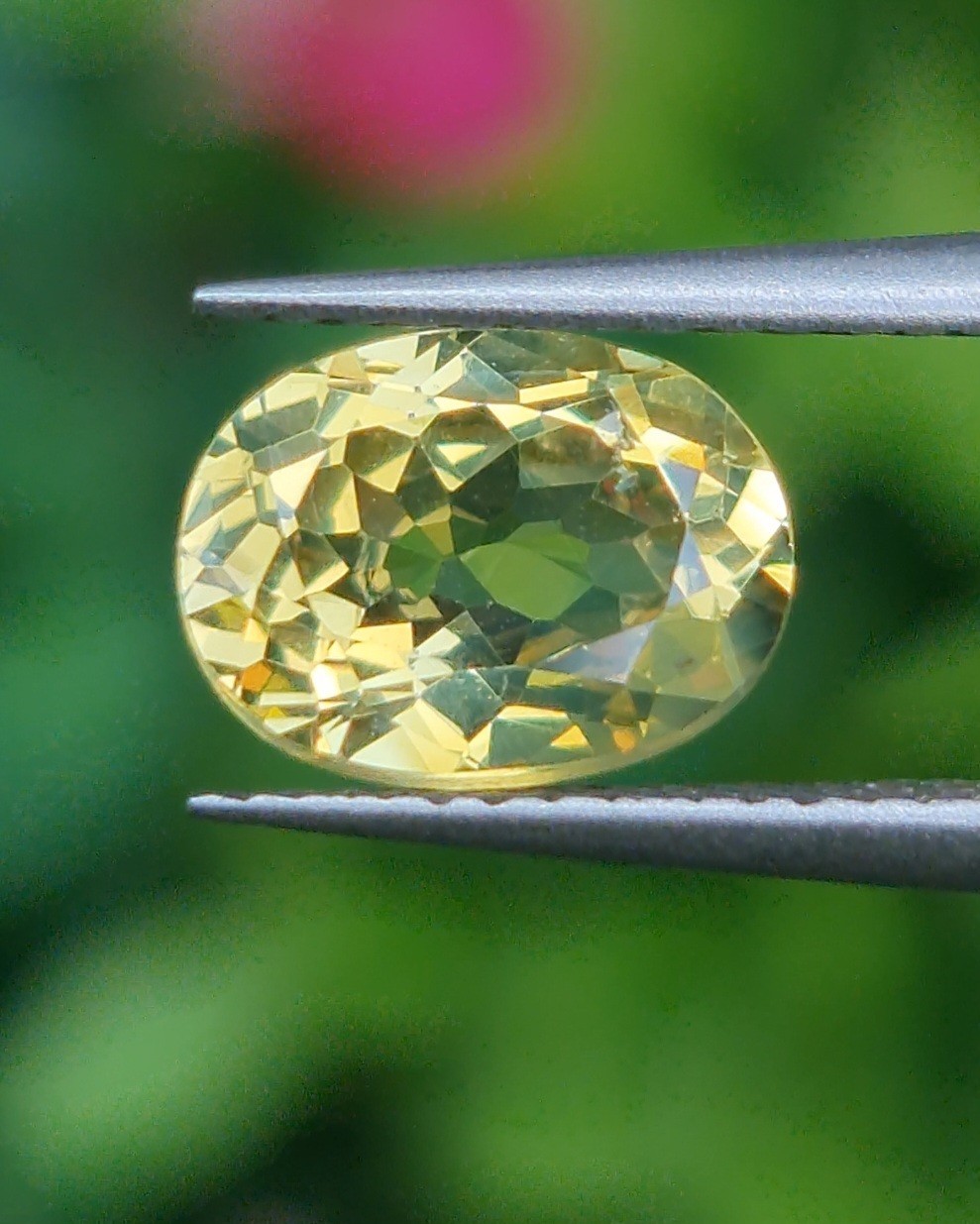 พลอย คริโซเบริล (Chrysoberyl) 1.23 กะรัต (Cts.) พลอยแท้ อัญมณีมงคลประจําวันเกิด เครื่องประดับพลอย