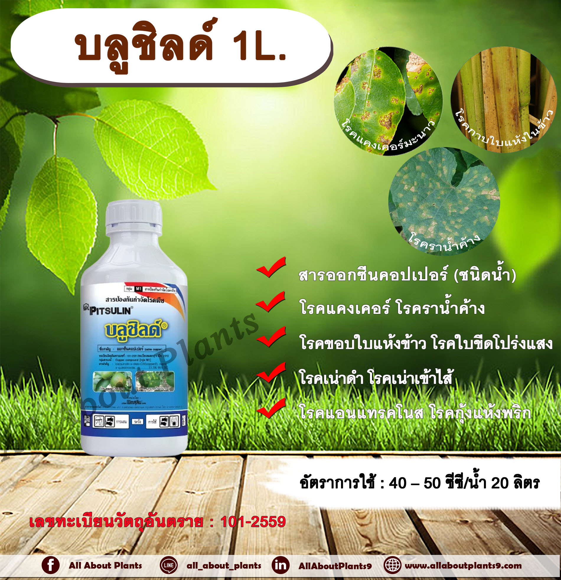 บลูชิลด์ 1L. ออกซีนคอปเปอร์ สารกำจัดโรคพืช กำจัดเชื้อราและแบคทีเรีย โรคแคงเคอร์ โรคเน่าเข้าไส้ โรคราน้ำค้าง โรคขอบใบแห้ง โรคขีดโปร่งแสง โรคแอนแทรคโนส โรคกุ้งแห้งพริก ขวด