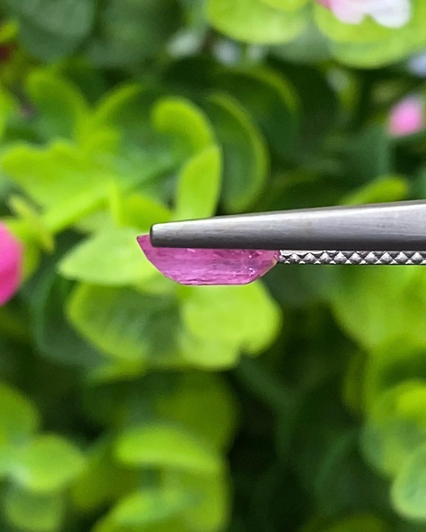 พลอย ชมพู พิ้ง แซฟไฟร์ Pink Sapphire 1.49 กะรัต (Cts.) พลอยแท้ อัญมณีมงคลประจําวันเกิด เครื่องประดับพลอย