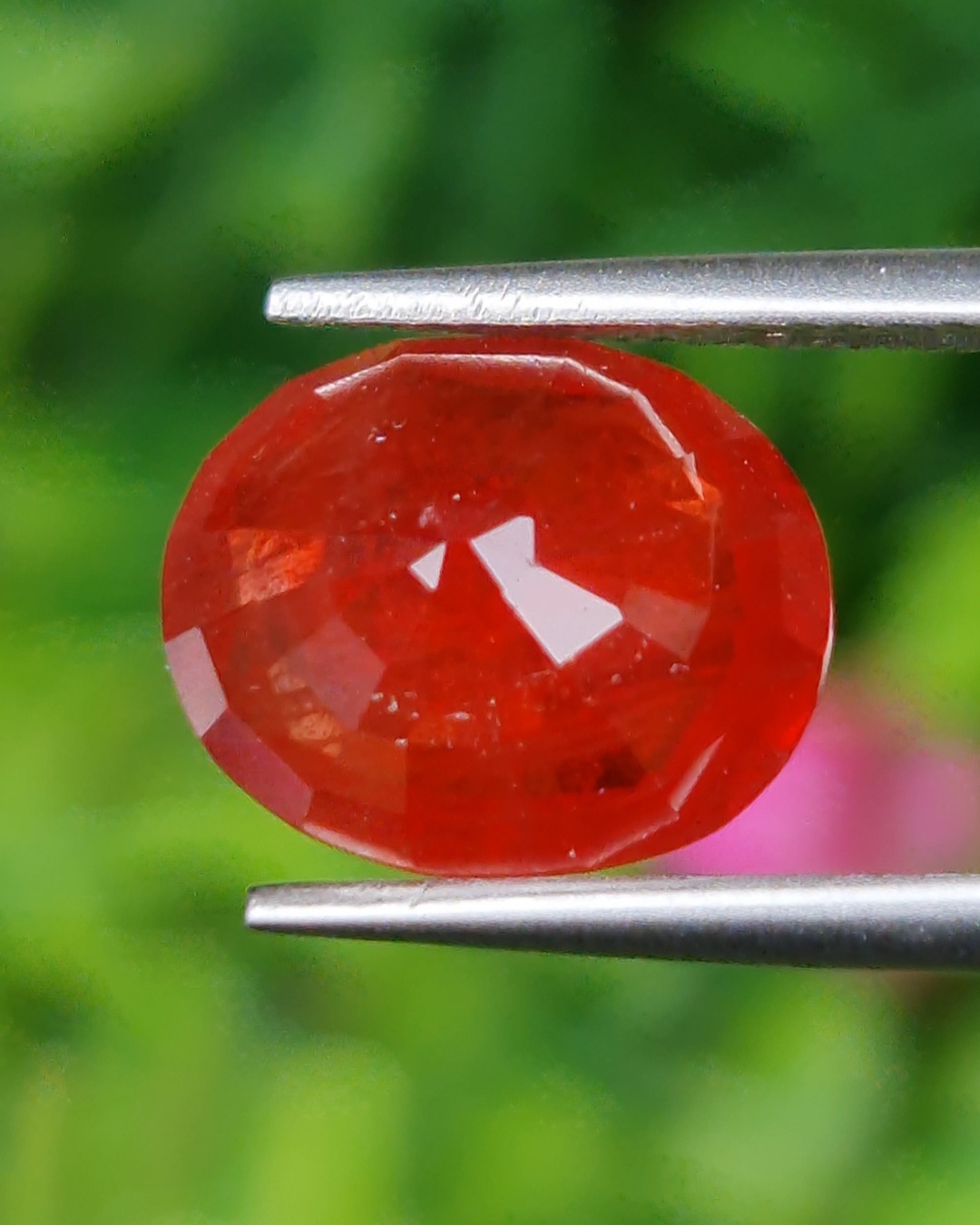 พลอย ทับทิม ซองเจีย Songea Ruby Sapphire 4.97 กะรัต (Cts.) พลอยแท้ อัญมณีมงคลประจําวันเกิด เครื่องประดับพลอย