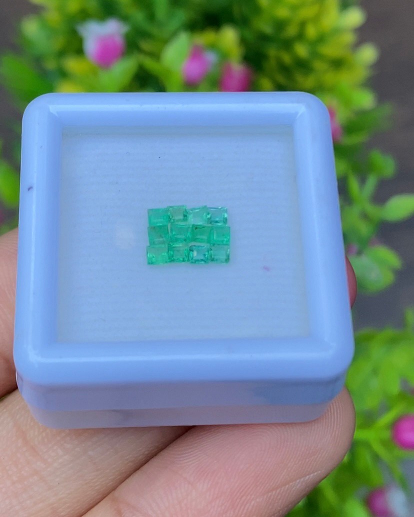 พลอย มรกต Natural Emerald แซมเบีย 0.53 กะรัต (Cts.) 12 เม็ด (Pcs.) พลอยแท้ อัญมณีมงคลประจําวันเกิด เครื่องประดับพลอย