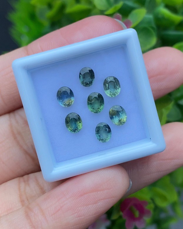 พลอย แซฟไฟร์ 3 สี Tri Color Sapphire 7 เม็ด 3.24 กะรัต (Cts.) พลอยแท้ อัญมณีมงคลประจําวันเกิด เครื่องประดับพลอย