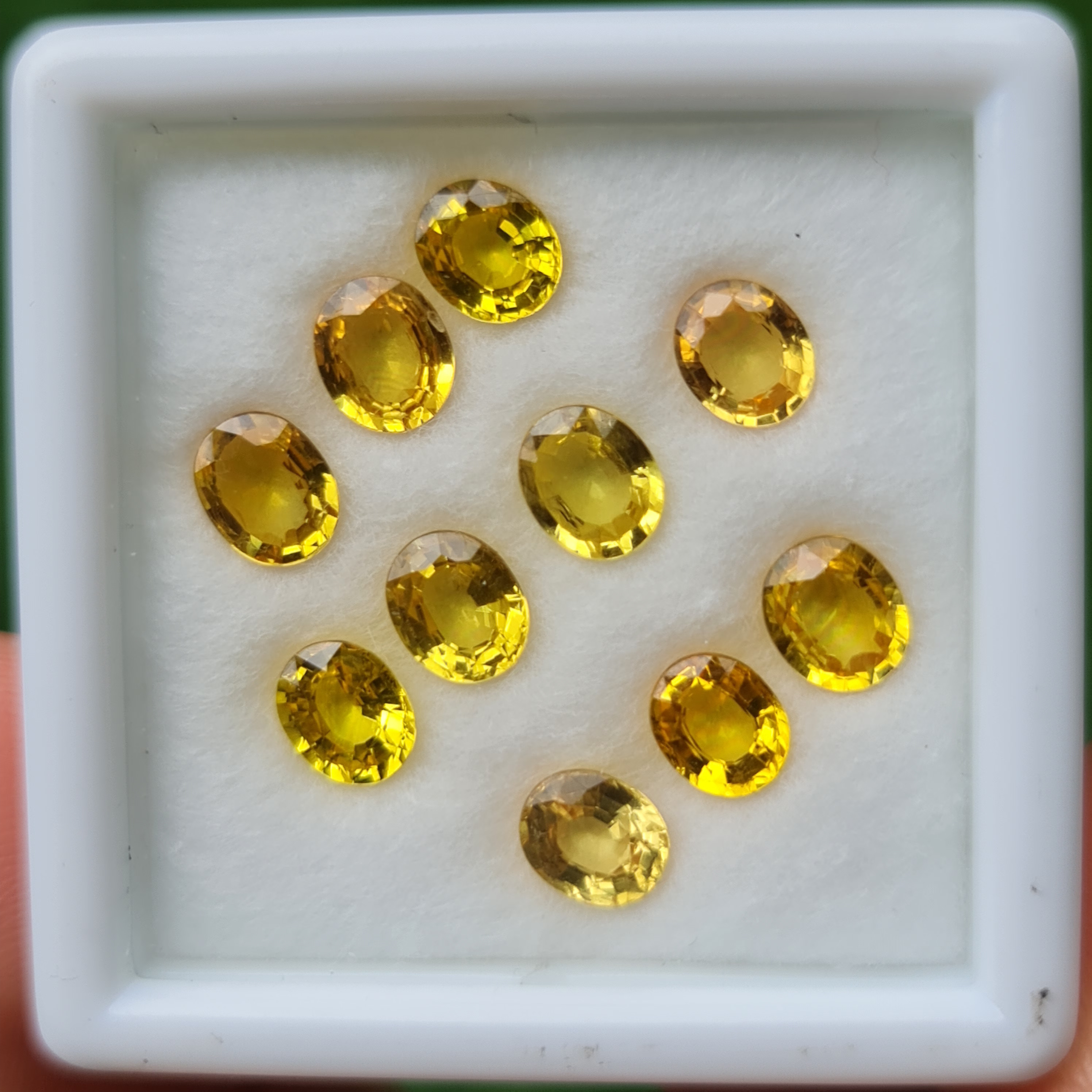 พลอย บุษราคัม yellow sapphire 7.41 กะรัต (Cts.) 10 เม็ด (Pcs.) พลอยแท้ อัญมณีมงคลประจําวันเกิด เครื่องประดับพลอย