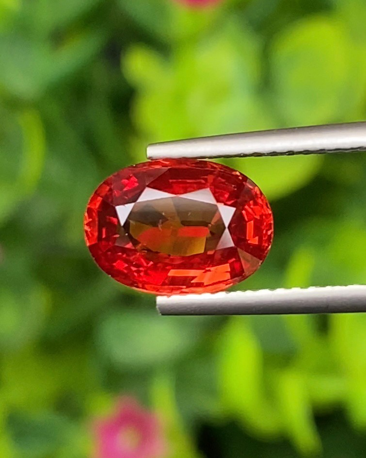 พลอย ทับทิม ซองเจีย Ruby Sapphire 2.66 กะรัต (Cts) พลอยแท้ อัญมณีมงคลประจําวันเกิด เครื่องประดับพลอย