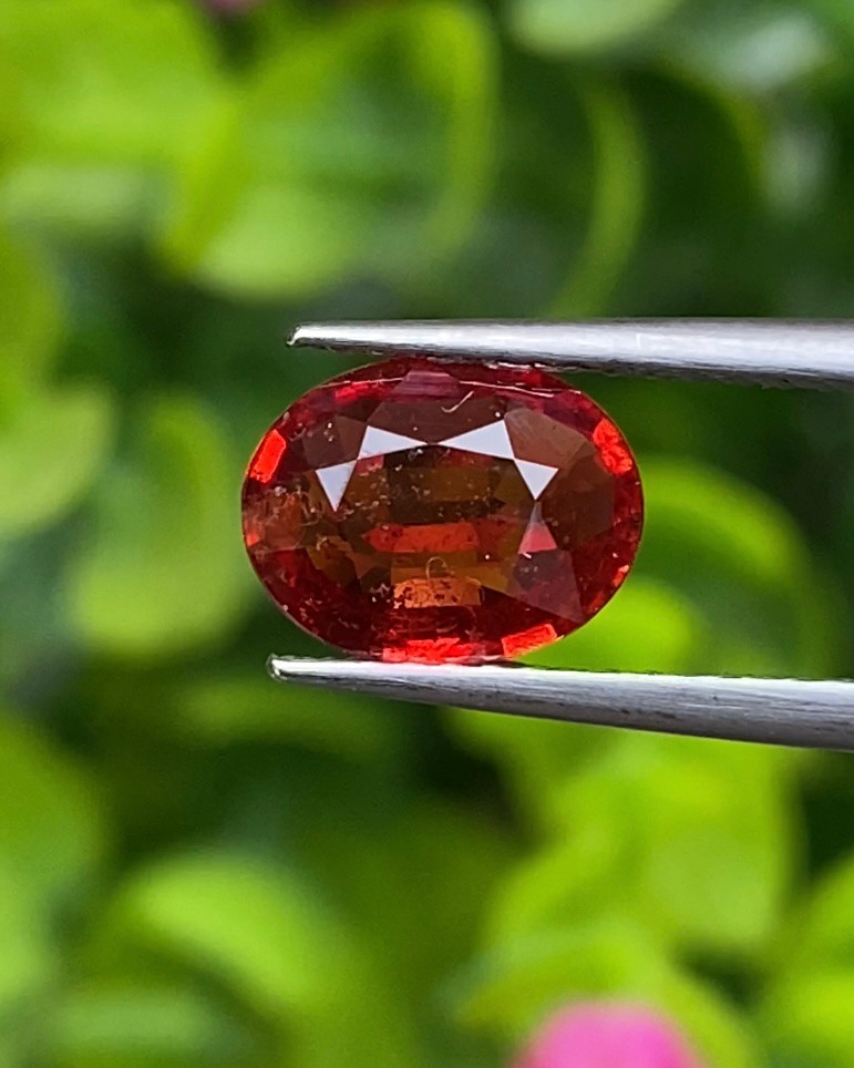พลอย ทับทิม ซองเจีย Songea Ruby Sapphire 1.41 กะรัต (Cts.) พลอยแท้ อัญมณีมงคลประจําวันเกิด เครื่องประดับพลอย