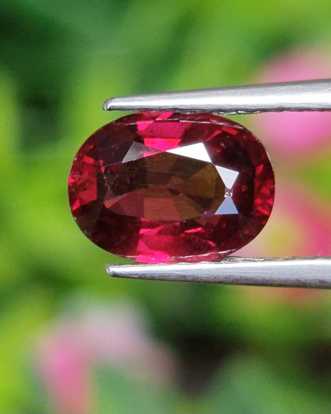 พลอย โรโดไลต์ กาเน็ท Rhodolite Garnet 1.50 กะรัต Cts. พร้อมใบเซอร์ พลอยแท้ อัญมณีมงคลประจําวันเกิด เครื่องประดับพลอย