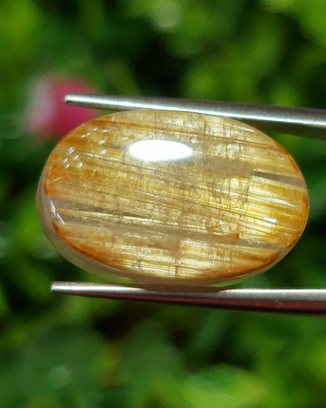 ตาแมว ไหมทอง ควอตซ์ Cat eye Golden Rutilated Quartz 17.0 กะรัต Cts.พลอยแท้ อัญมณีมงคลประจําวันเกิด เครื่องประดับพลอย