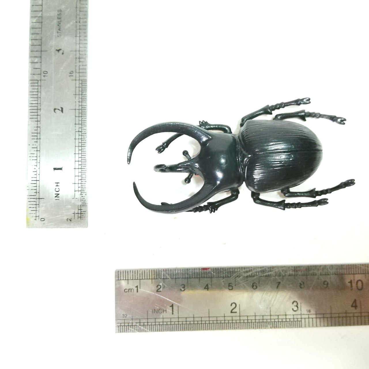 ชุดแมลงยางตัน ด้วงสามเขา ขนาดตามรูป สภาพดี