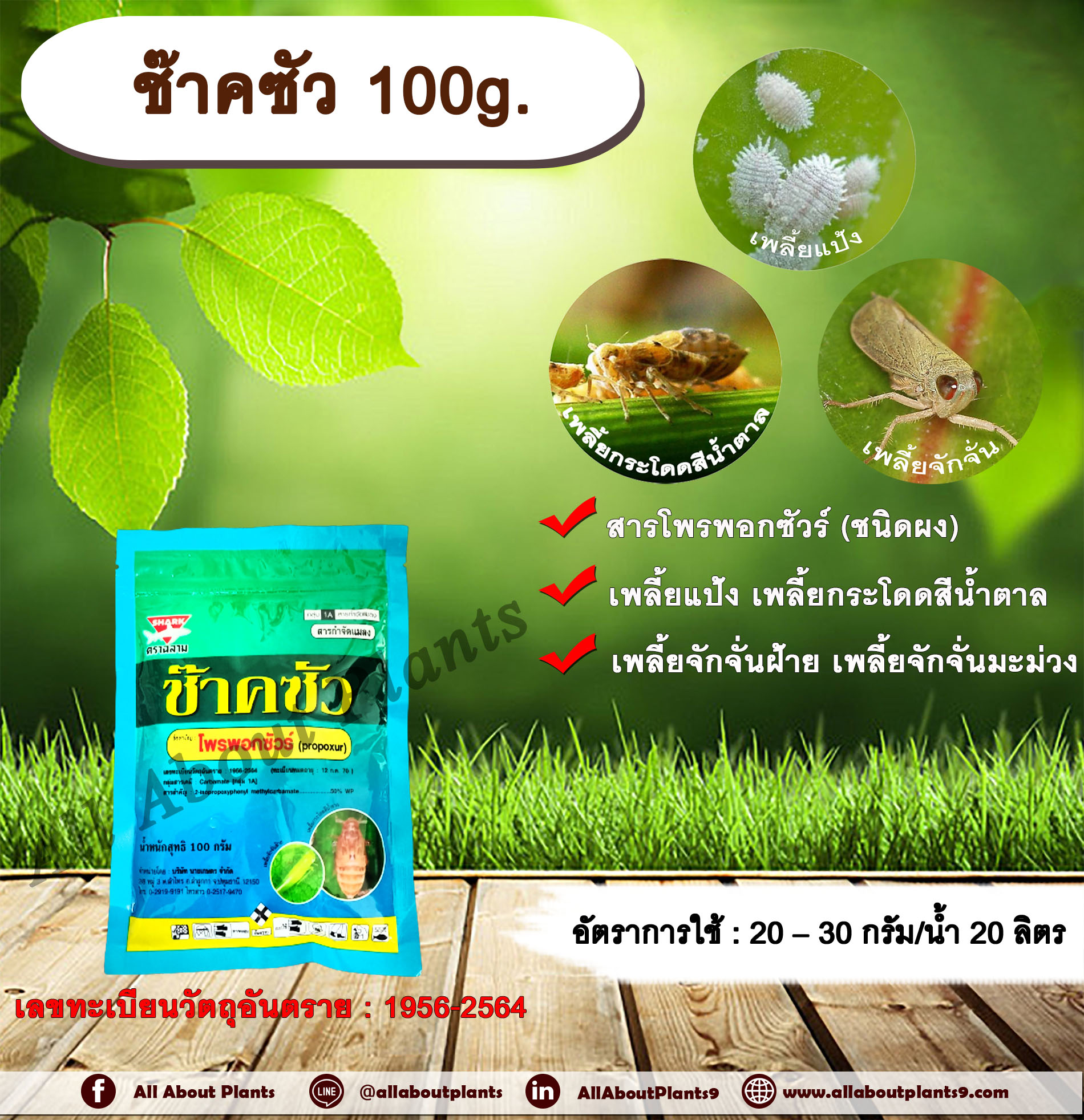 ช๊าคซัว 100g. โพรพอกซัวร์ สารกำจัดแมลง เพลี้ยกระโดดสีน้ำตาล เพลี้ยแป้ง เพลี้ยจักจั่นฝ้าย เพลี้ยจักจั่นมะม่วง แมลงปากดูด กำจัดเพลี้ย เพลี้ยกระโดดในนาข้าว สารกำจัดแมลงแบบสัมผัส น็อคเย็น น็อคเพลี้ย ซอง