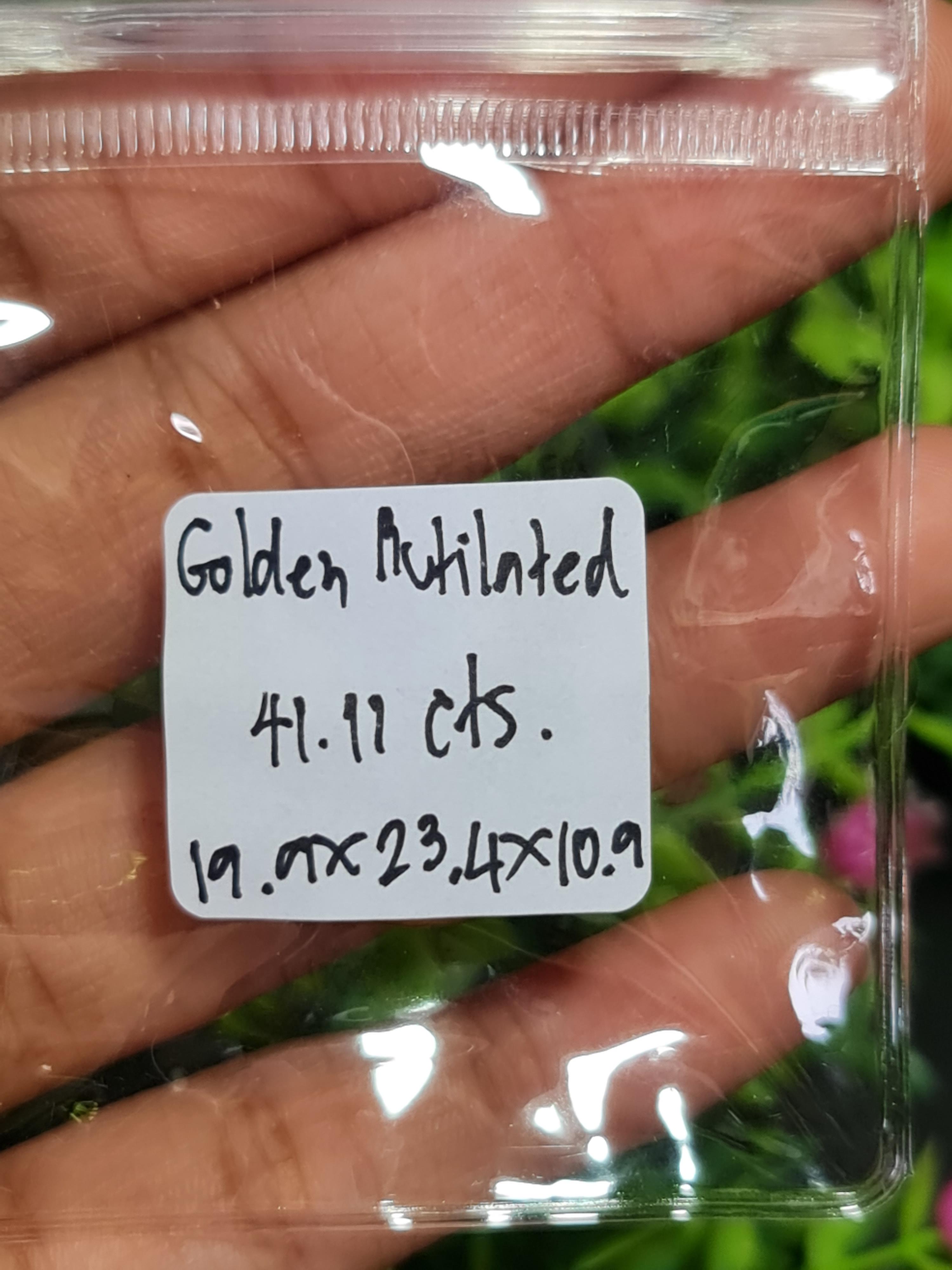 ไหมทอง ควอตซ์ Golden Rutilated Quartz 41.11 กะรัต Cts.พลอยแท้ อัญมณีมงคลประจําวันเกิด เครื่องประดับพลอย