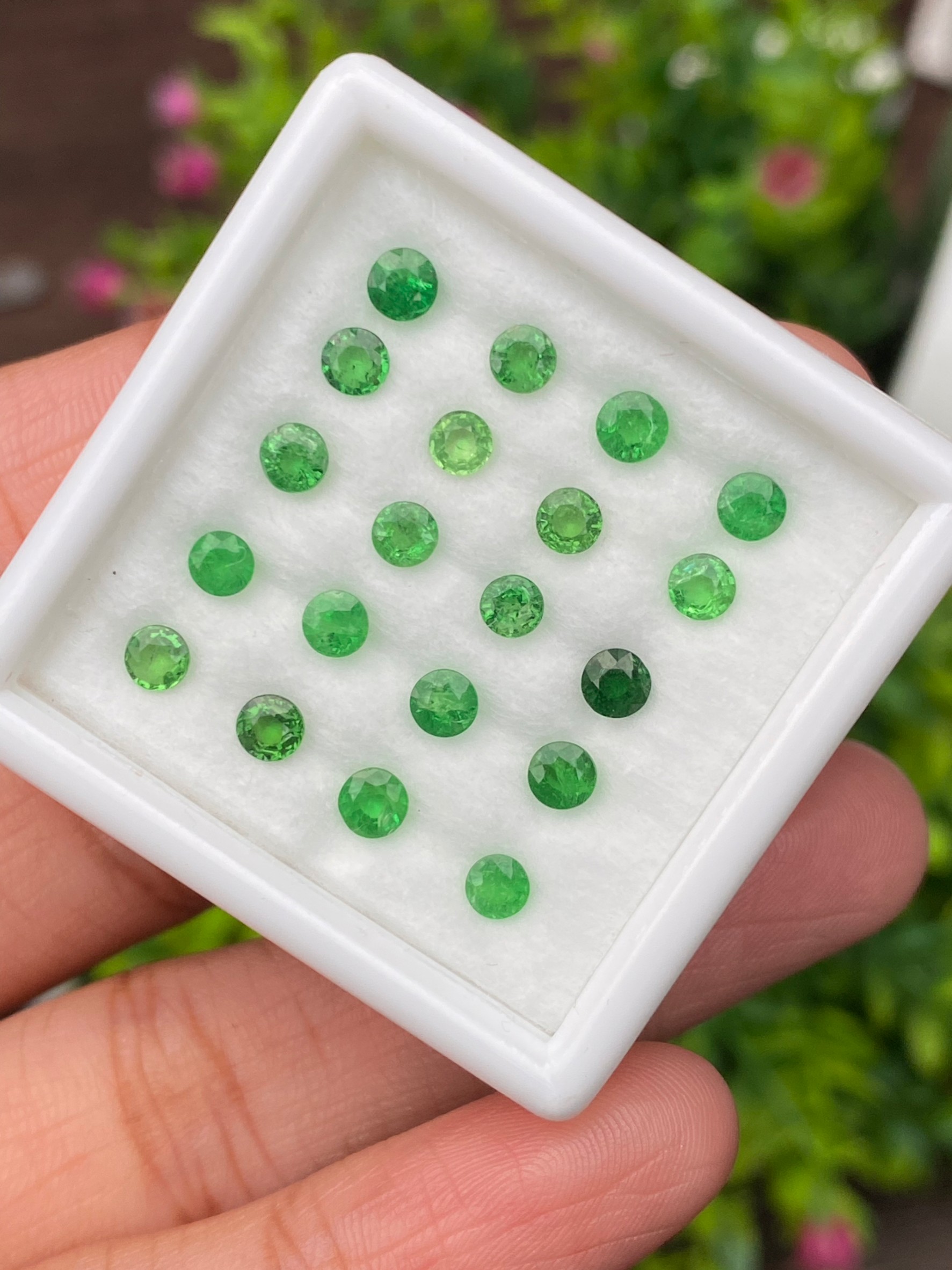 พลอย ซาโวไรท์ Tsavorite Garnet 4.10 กะรัต (Cts.) 20 เม็ด ดิบ Unheated พลอยแท้ อัญมณีมงคลประจําวันเกิด เครื่องประดับพลอย