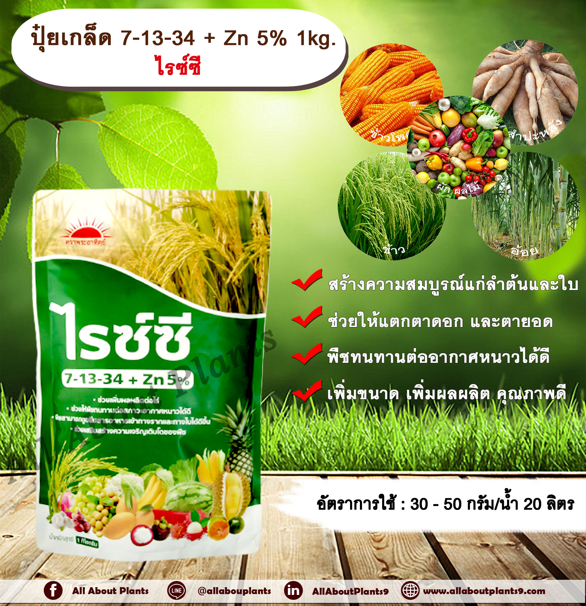 ปุ๋ยเกล็ด 7-13-34 + Zn 5% 1kg. ไรซ์ซี บำรุงต้น บำรุงใบ แตกตาดอก แตกตายอด เกสรแข็งแรง ผลสมบูรณ์ น้ำหนักดี เพิ่มขนาด เพิ่มผลผลิต คุณภาพดี พืชทนทานต่ออากาศหนาวได้ดี ถุง
