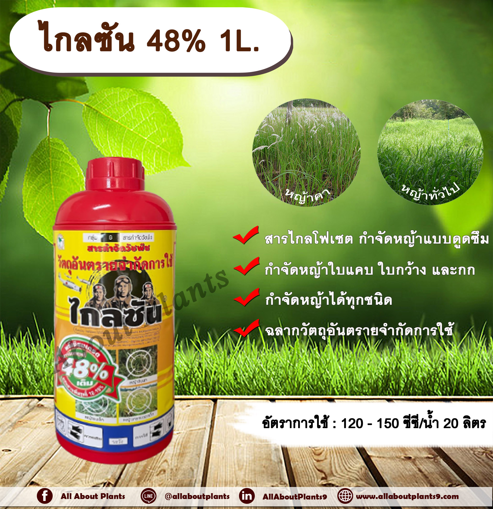 ไกลซัน 1L. ไกลโฟเซต สารกำจัดวัชพืช แบบดูดซึม กำจัดหญ้าทุกชนิด ตายถึงรากถึงโคน หญ้าคา วัชพืชข้ามปี กำจัดหญ้าใบแคบ ใบกว้างและกก ดูดซึมไม่เลือกทำลาย Glyphosate allaboutplants ชิ้น