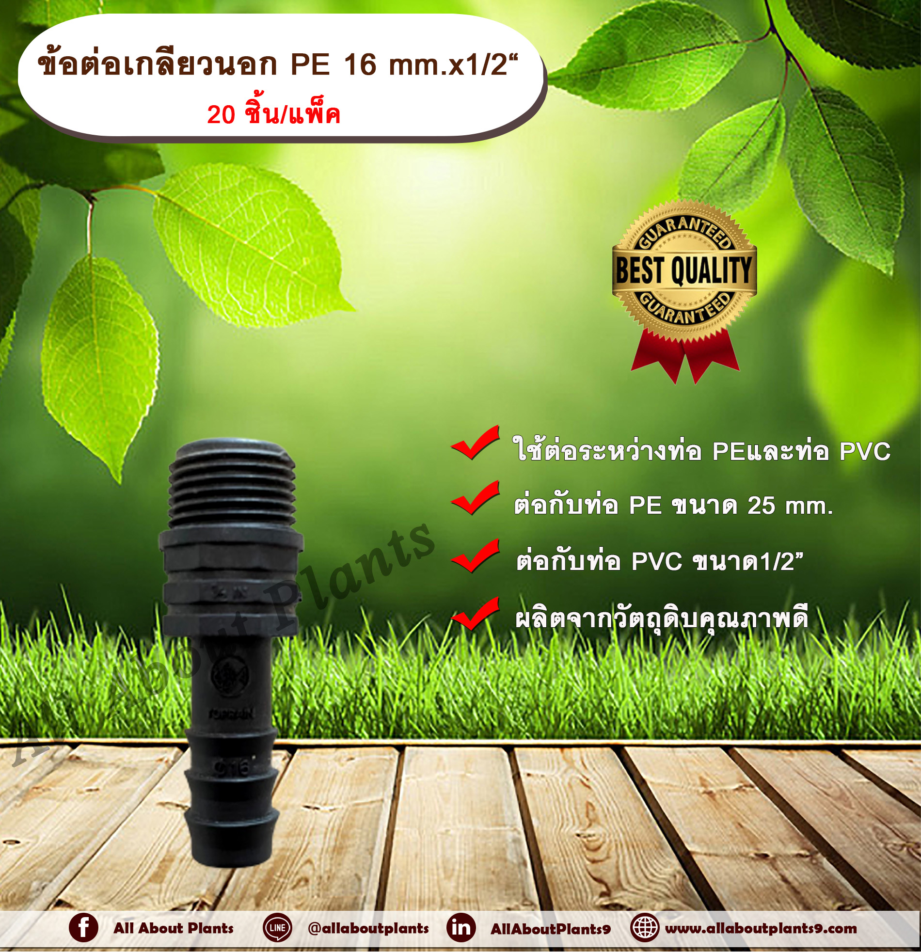 ข้อต่อเกลียวนอก PE 16 mm. x 1/2“ 20 ชิ้น/แพ็ค ข้อต่อท่อ PE ข้อต่อเกลียวนอก ต่อตรงเกลียวนอก ต่อตรง PE ข้อต่อพีอี ต่อตรงพีอี ข้อต่อเกลียว PVC ข่อต่อเกลียวพีวีซี อุปกรณ์ข้อต่อ ชิ้น