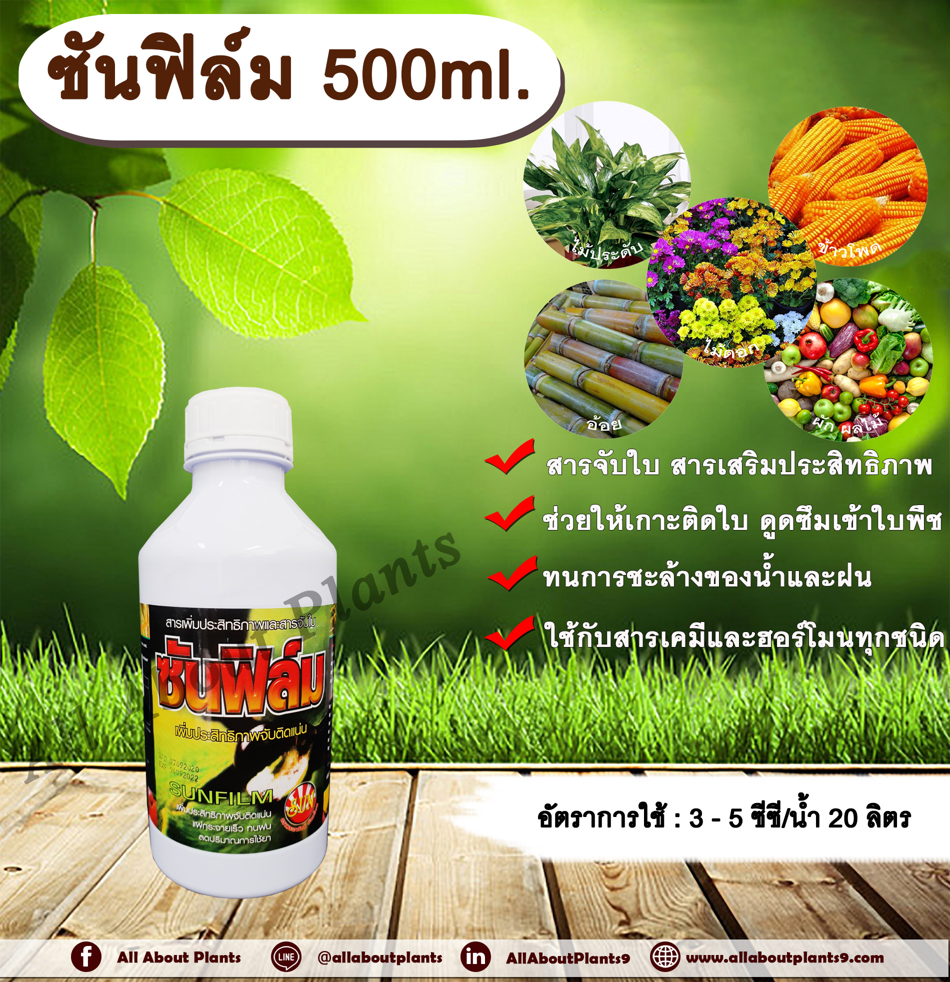 ซันฟิล์ม 500ml. สารจับใบ สารเคลือบใบ สารเสริมประสิทธิภาพทางใบ สารเคมีเกาะติดใบพืช สารเคมีดูดซึมเข้าใบพืช ทนการชะล้างของฝน ใช้ได้กับ สารกำจัดแมลง กำจัดวัชพืช กำจัดโรคพืช ปุ๋ย ฮอร์โมน allaboutplants ชิ้น