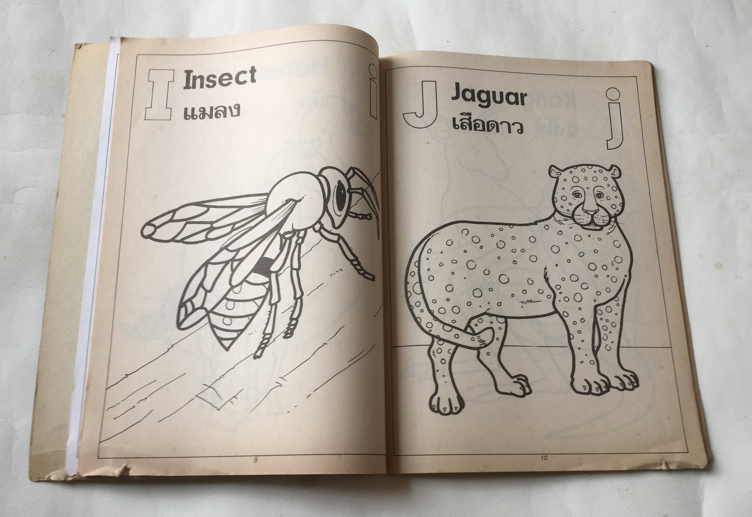 หนังสือเก่า ภาพสัตว์ A B C โดย ต้นอ้อ ***มีตำหนิตามภาพ มีเขียนชื่อ JARUPONG ราคาปก 10 บาท