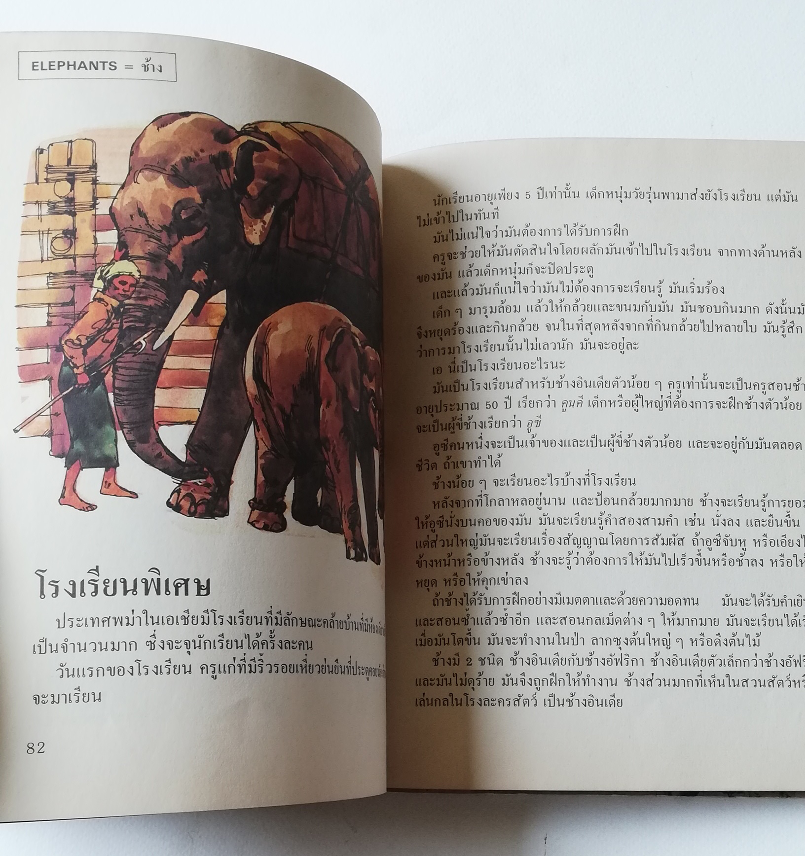 มีหลายภาพ หนังสือภาพการ์ตูนเก่า ปกแข็ง เล่มหนา จาก บริทานิกา เรื่อง สารานุกรมสำหรับเด็ก เล่มที่ 5