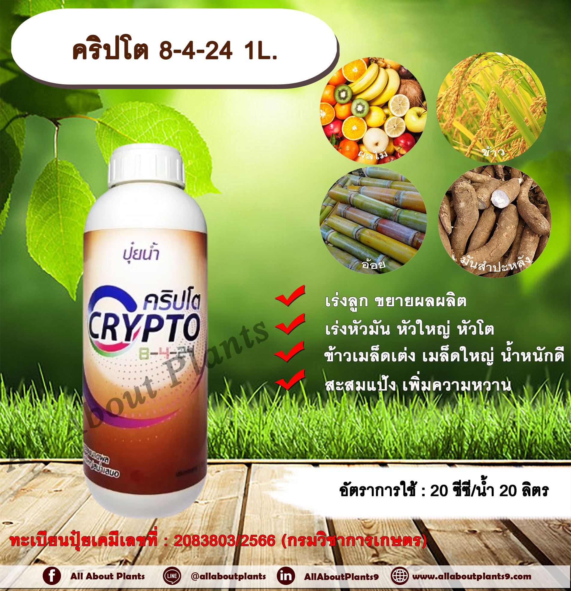 คริปโต 8-4-24 1L. เร่งลูก ขยายผลผลิต เร่งหัวมัน หัวใหญ่ หัวโต ข้าวเมล็ดเต่ง เมล็ดใหญ่ น้ำหนักดี สะสมแป้ง เพิ่มความหวาน ขวด