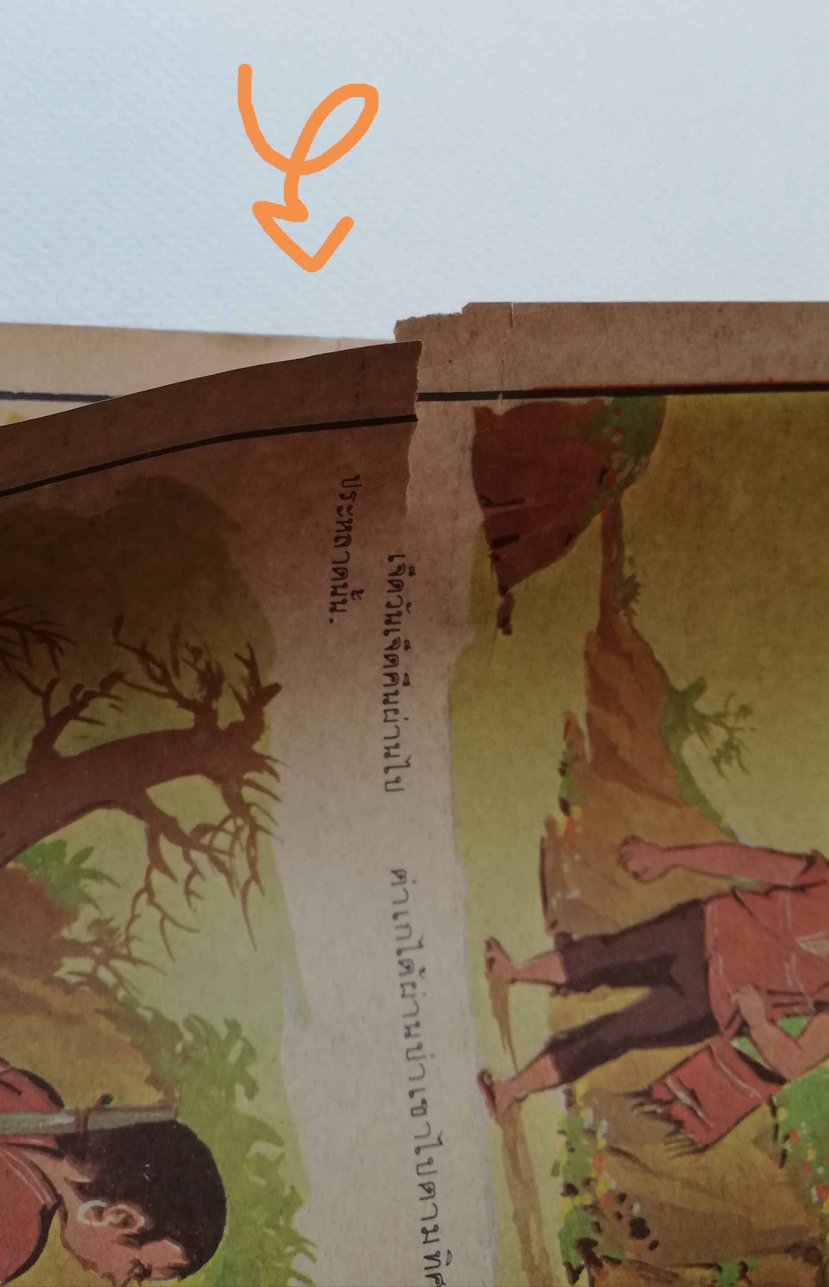 หนังสือภาพเก่า มีตำหนิ โปรดดูทุกภาพ,หนังสือนิยายการ์ตูน เอื้องแซะ สีทอง ภาพและเรื่องโดย วิชา พรหมจันทร์