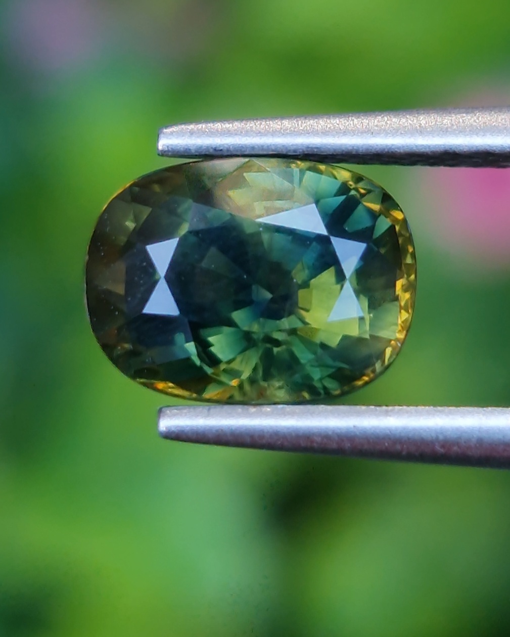 พลอย แซฟไฟร์ 2 สี Bi Color Sapphire 2.09 กะรัต (Cts.) พลอยแท้ อัญมณีมงคลประจําวันเกิด เครื่องประดับพลอย