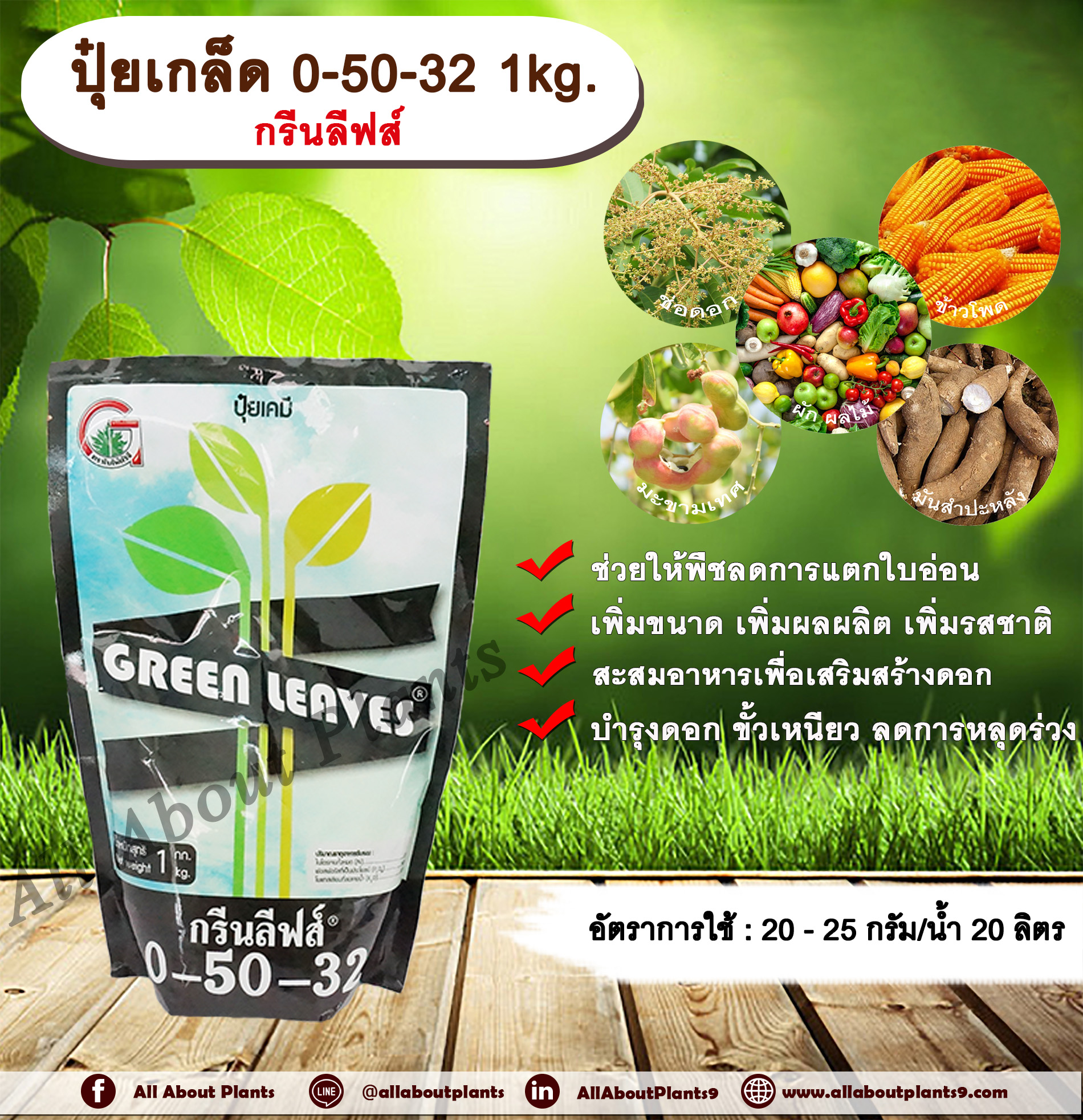 ปุ๋ยเกล็ด 0-50-32 1kg. กรีนลีฟส์ ช่วยให้พืชลดการแตกใบอ่อน เสริมสร้างดอก ผสมเกสร บำรุงดอก ดอกสมบูรณ์ เพิ่มขนาด เพิ่มผลผลิต เพิ่มรสชาติ ขั้วเหนียว ลดการหลุดร่วง ปุ๋ยเกล็ด ปุ๋ยNPK ปุ๋ยเกล็ดNPK allaboutplants ชิ้น