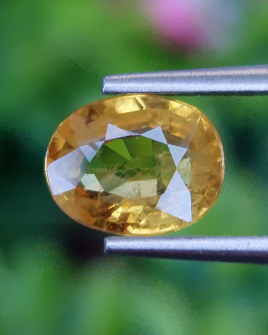 พลอย บุษราคัม Yellow Sapphire 1.80 กะรัต (Cts.) พร้อมใบเซอร์ พลอยแท้ อัญมณีมงคลประจําวันเกิด เครื่องประดับพลอย
