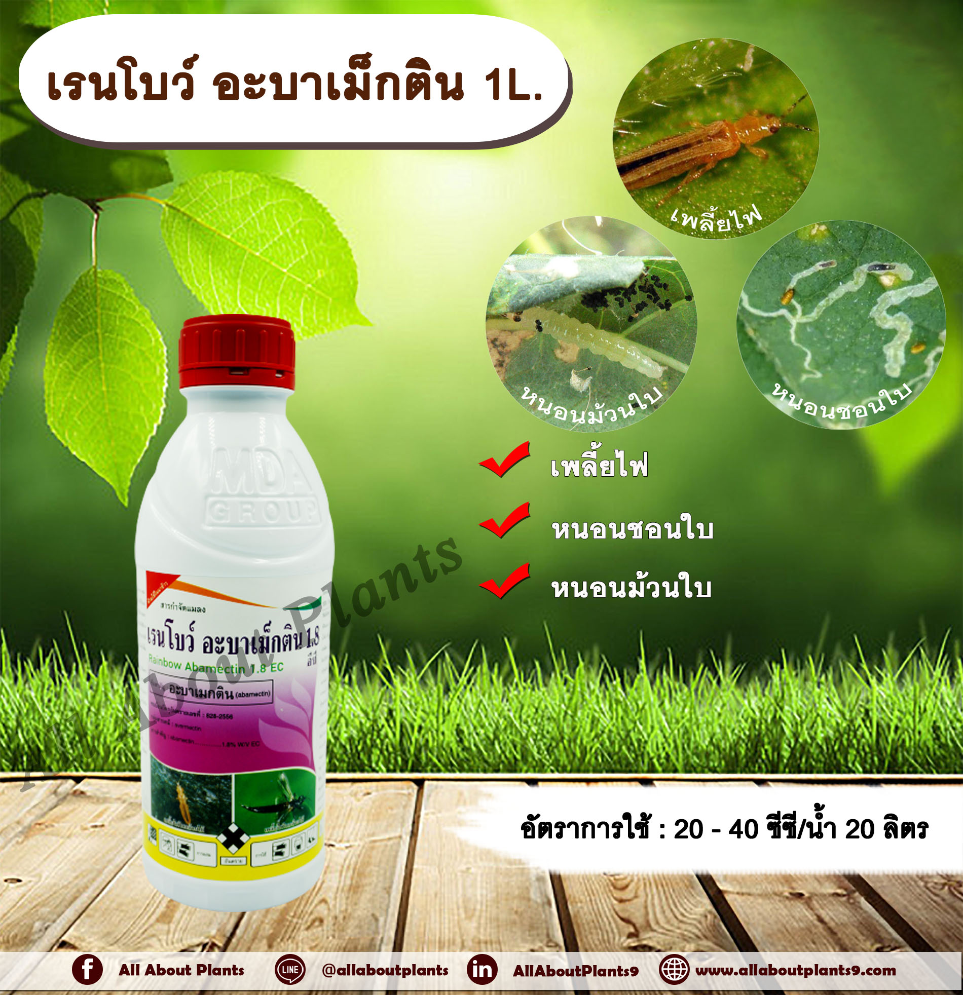 เรนโบว์ อะบาเม็กติน 1L.อะบาเม็คติน สารกำจัดแมลง กำจัดเพลี้ย กำจัดหนอน เพลี้ยไฟ หนอนชอนใบ หนอนม้วนใบ หนอนแมลงวันชอนใบ allaboutplants ชิ้น