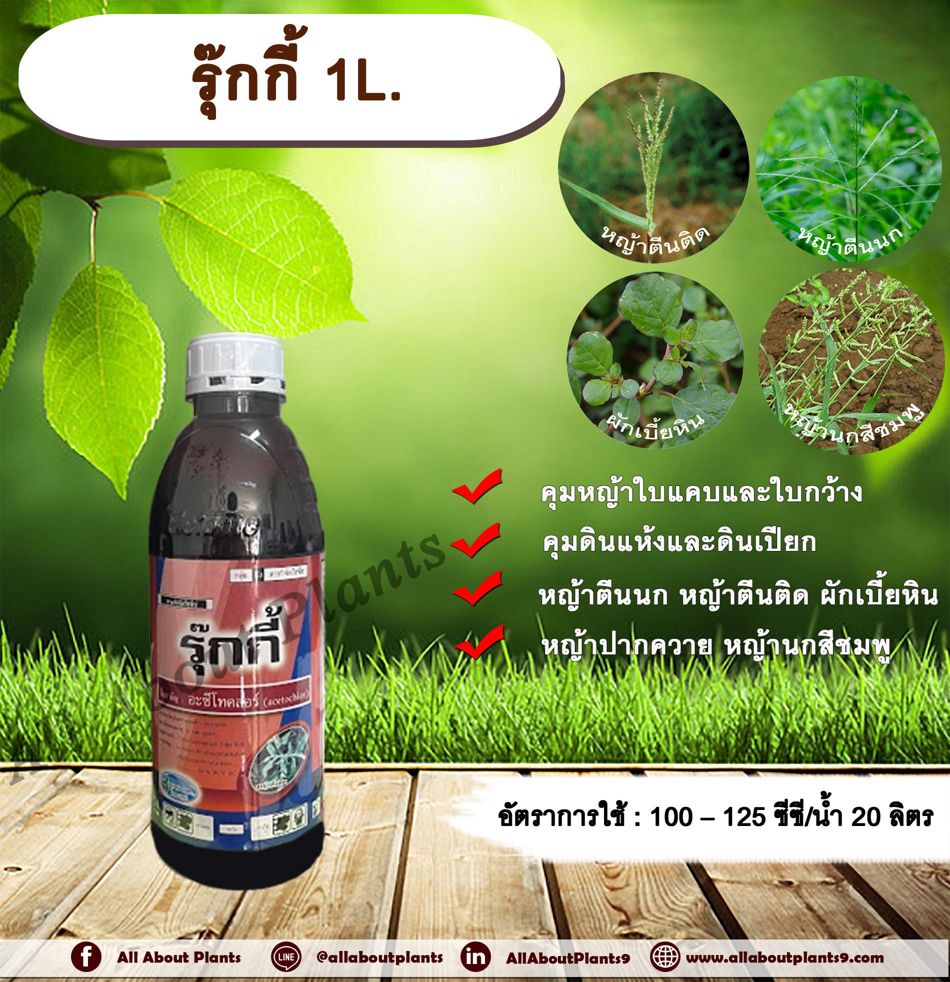 รุ๊กกี้ 1L. อะซีโทคลอร์ อะเซโทคลอร์ คุมหญ้า คุมวัชพืช คุมแห้ง สารกำจัดวัชพืช ใบแคบ ใบกว้าง หญ้าตีนติด หญ้าตีนกา หญ้านกสีชมพู ชิ้น
