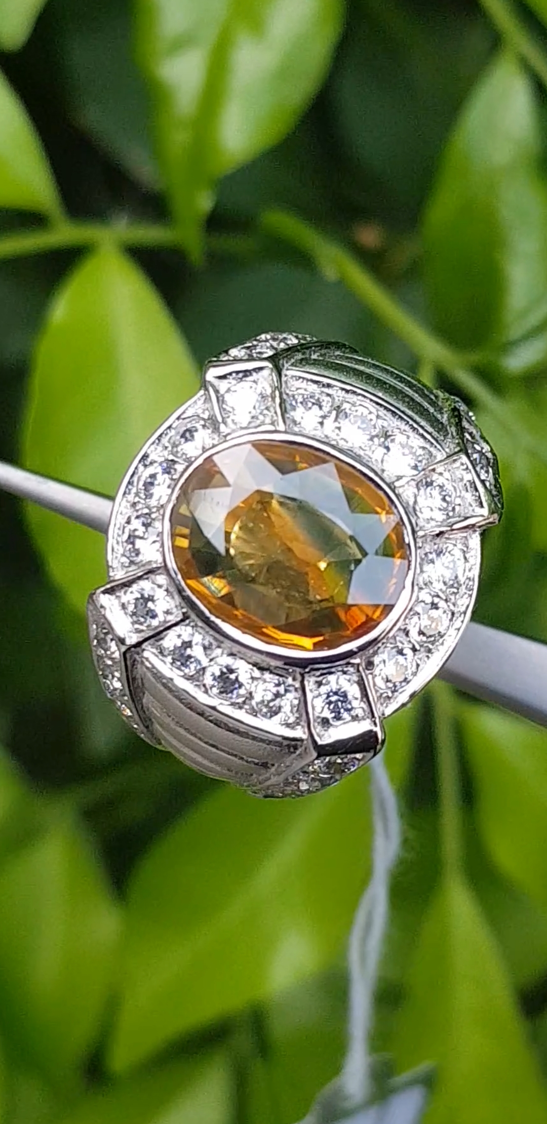 แหวน พลอย บุษราคัม 2 สี (Size) 51 Greenish Yellow Sapphire Ring