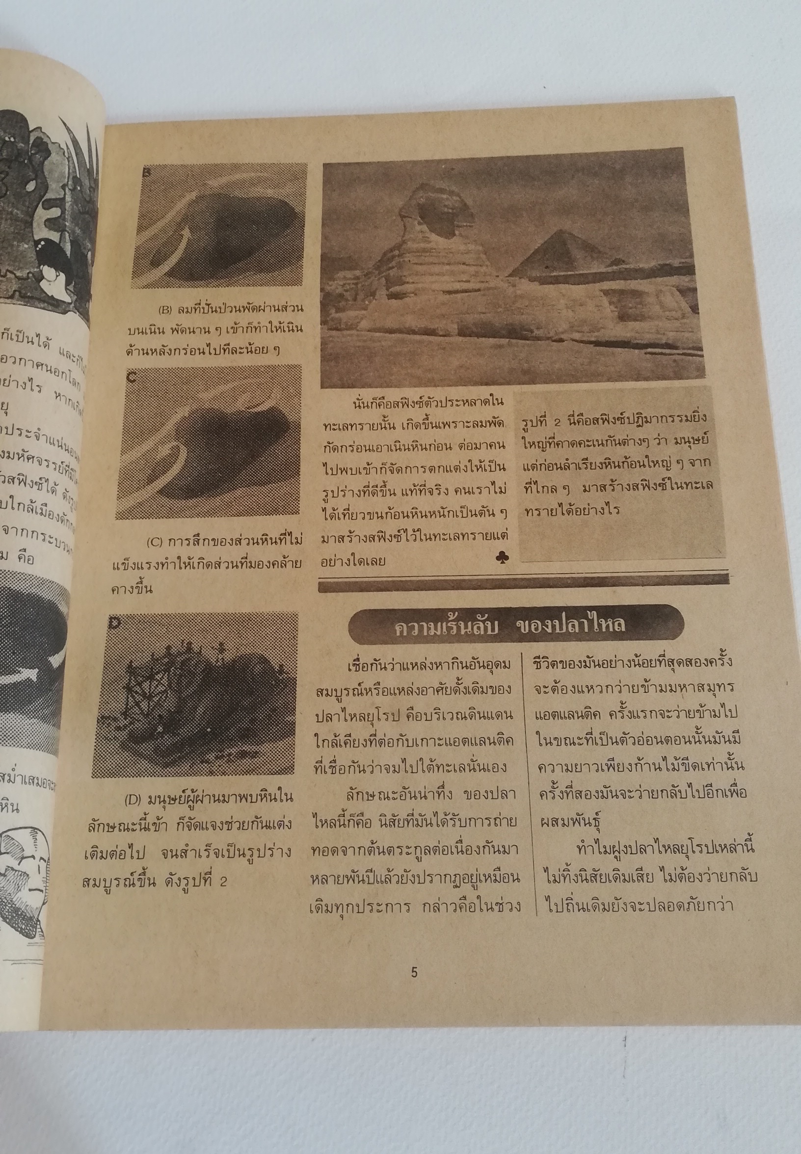 มีหลายภาพ, นิตยสารเก่า วิทยาศาสตร์มหัศจรรย์ ฉบับที่5, ภาพการ์ตูนในเล่ม : ศึกอวกาศ, ลูกไก่แสนกล เรื่องโดย รำพูล แก้วงาม ภาพโดย สมชาย เวชวิทย์, เพียงพอน โดย สมชาย เวชวิทย์