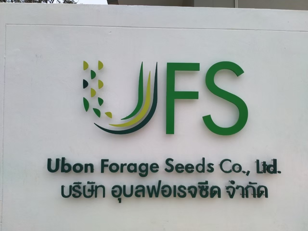 ป้ายไฟออกหลัง