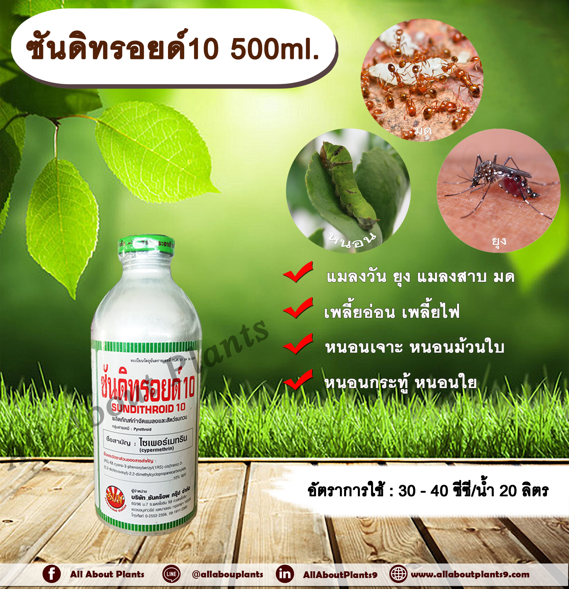 ซันดิทรอยด์ 10 500ml. ไซเพอร์เมทริน สารกำจัดแมลง หนอน เพลี้ย มด แมลง พ่นยุง แมลงสาบ ฉีดเล้าไก่ คอกวัว คอกม้า allaboutplants ชิ้น