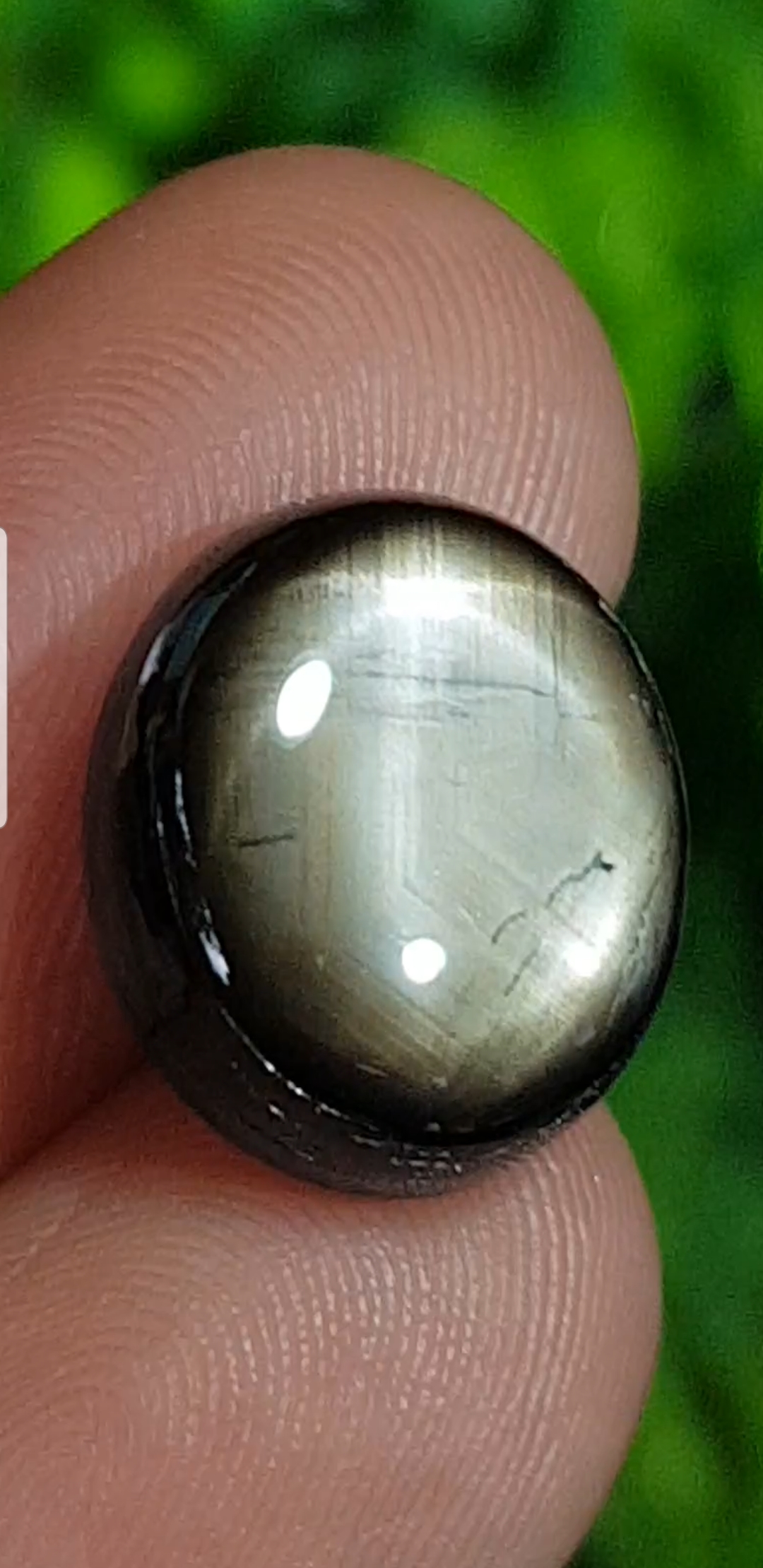 พลอย แบล็ค สตาร์ แซฟไฟร์ Black Star Sapphire 12.05 กะรัต (Cts.) ดิบ Unheated พร้อมใบเซอร์ พลอยแท้ อัญมณีมงคลประจําวันเกิด เครื่องประดับพลอย