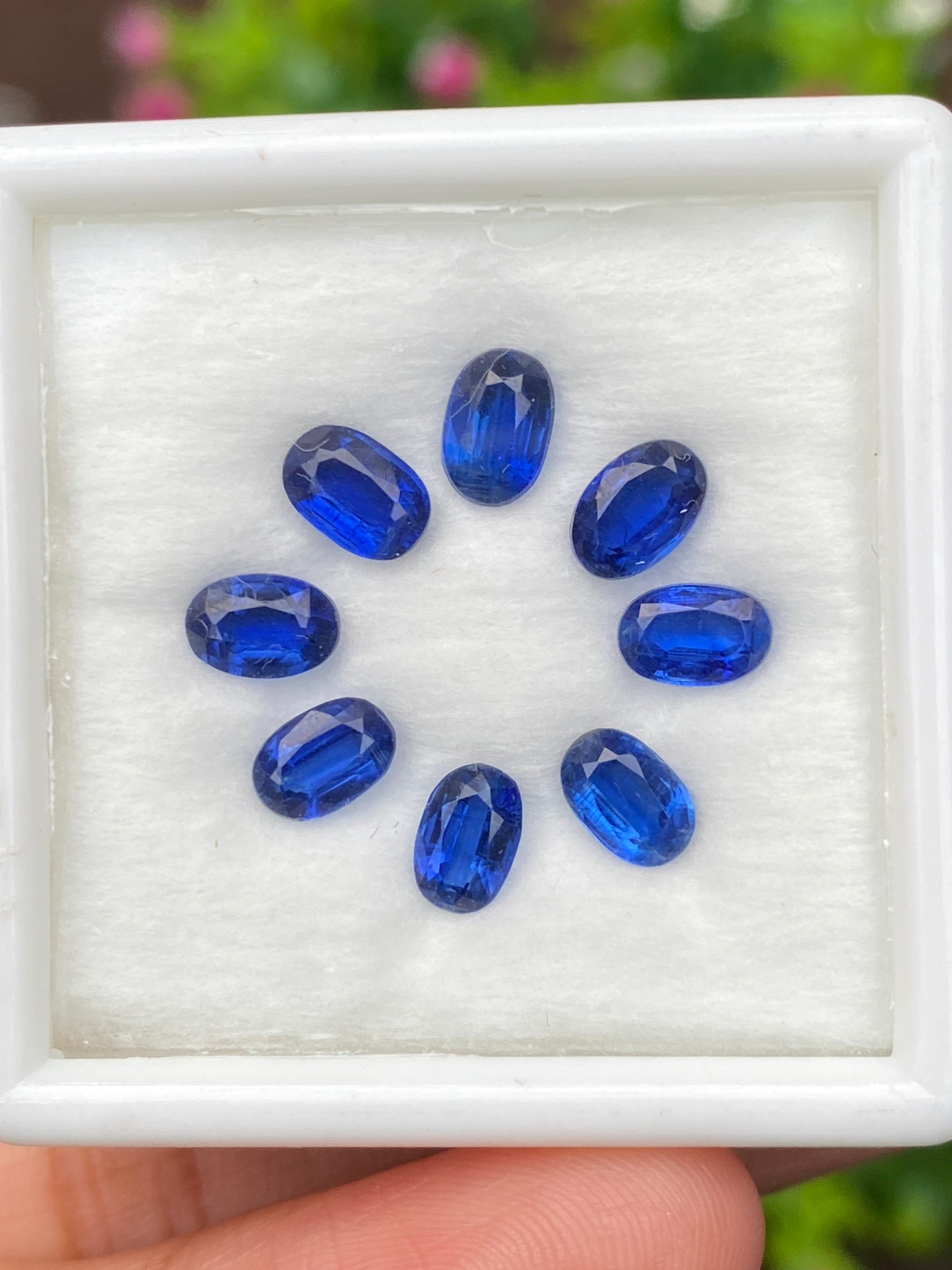 พลอย ไคยาไนต์ Kyanite 5.00 กะรัต (Cts.) 8 เม็ด พลอยแท้ อัญมณีมงคลประจําวันเกิด เครื่องประดับพลอย