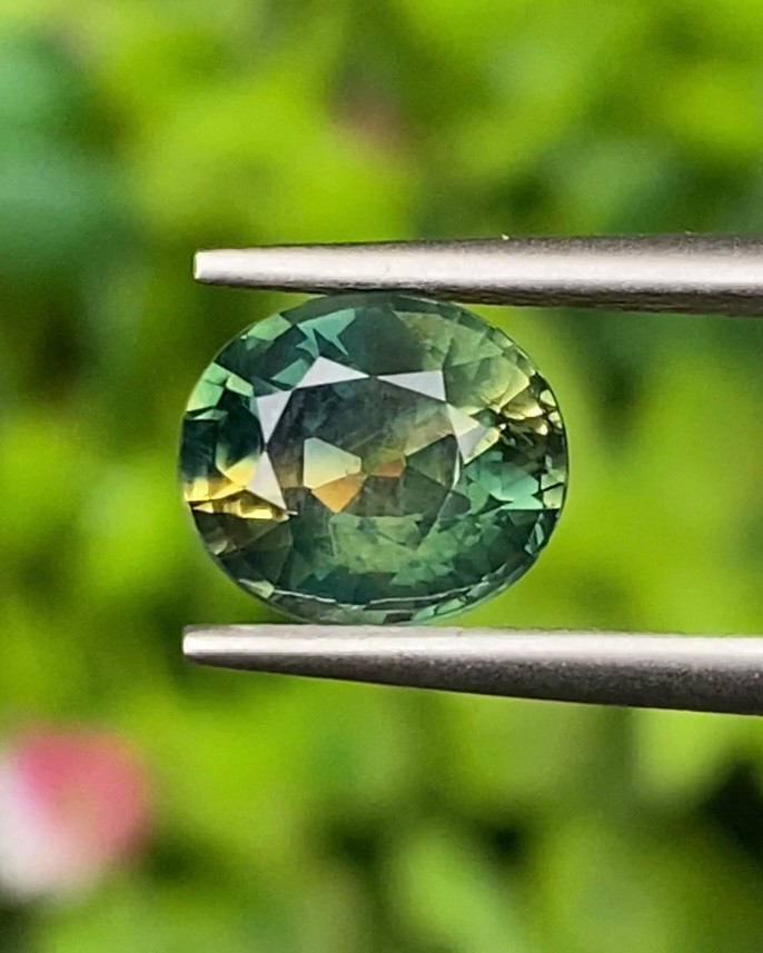 พลอย แซฟไฟร์ 2 สี Bi-Color Sapphire 2.32 กะรัต (Cts.) พลอยแท้ อัญมณีมงคลประจําวันเกิด เครื่องประดับพลอย