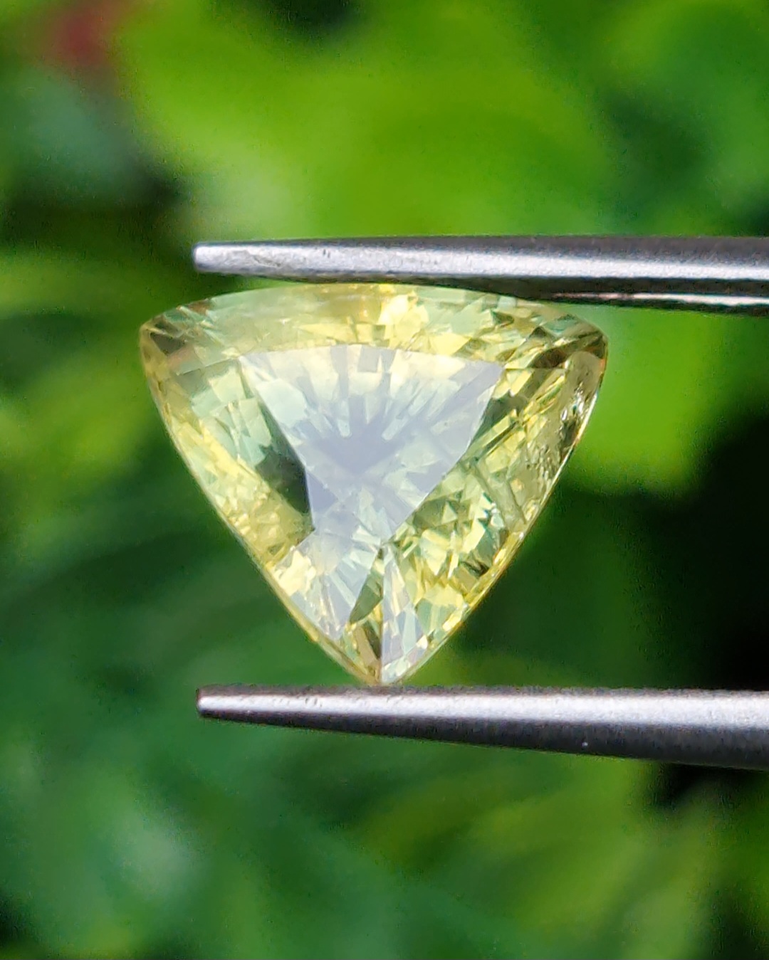 พลอย แซฟไฟร์ 2 สี Bi-Color Sapphire 5.19 กะรัต (Cts.) พลอยแท้ อัญมณีมงคลประจําวันเกิด เครื่องประดับพลอย