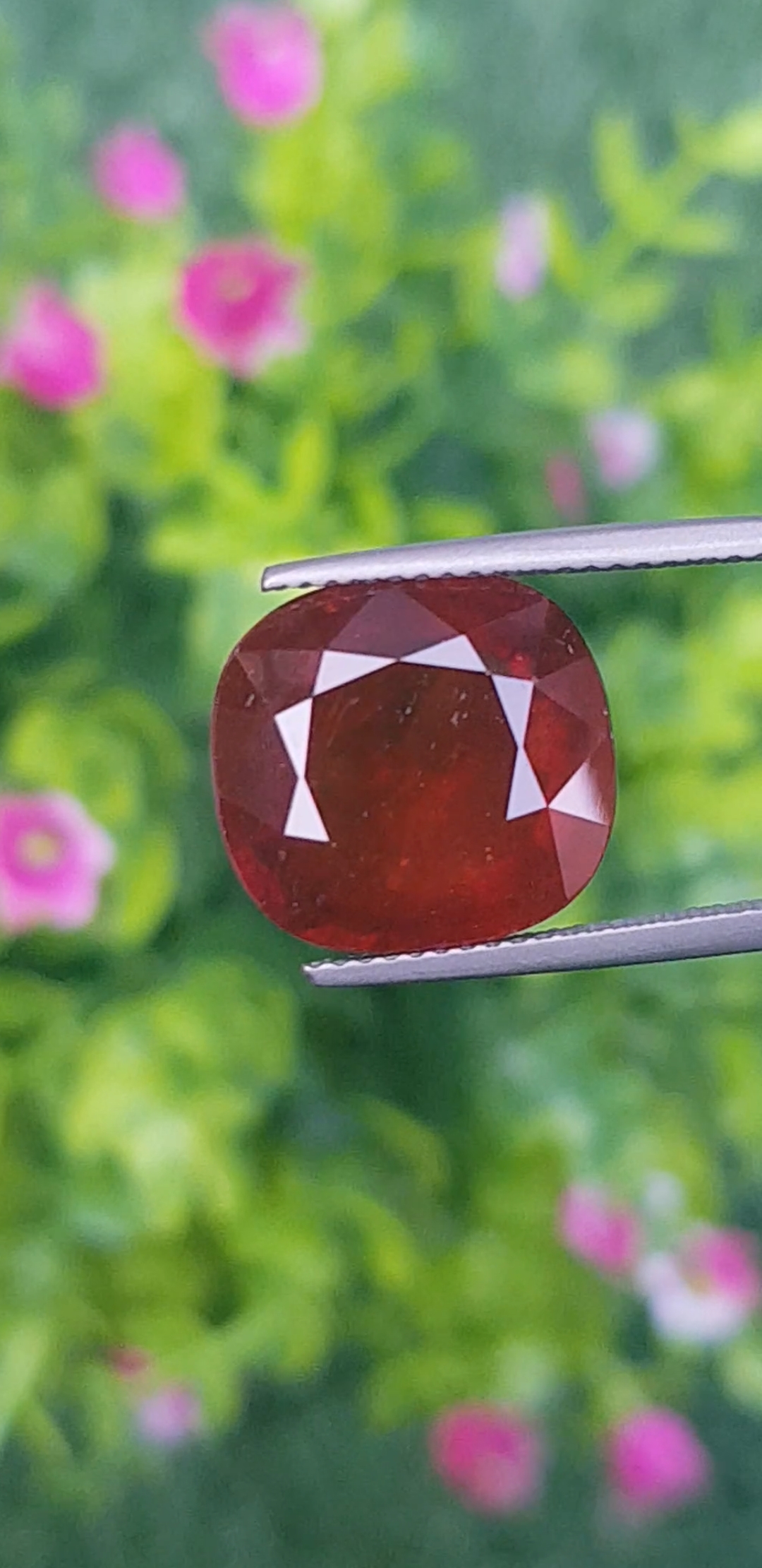 พลอย สเปสซาร์ไทต์ Spessartite Garnet 11.50 กะรัต (Cts.) ดิบ Unheated