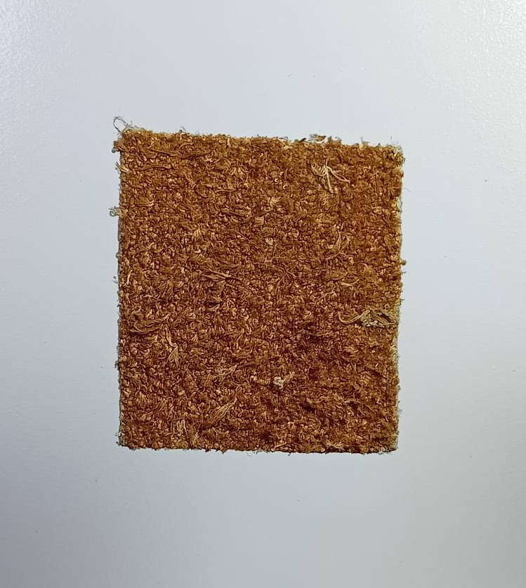 ผ2716 แผ่นหนัง ปั๊มยันต์ หลวงพ่อจำเนียร วัดถ้ำเสือ จ.กระบี่