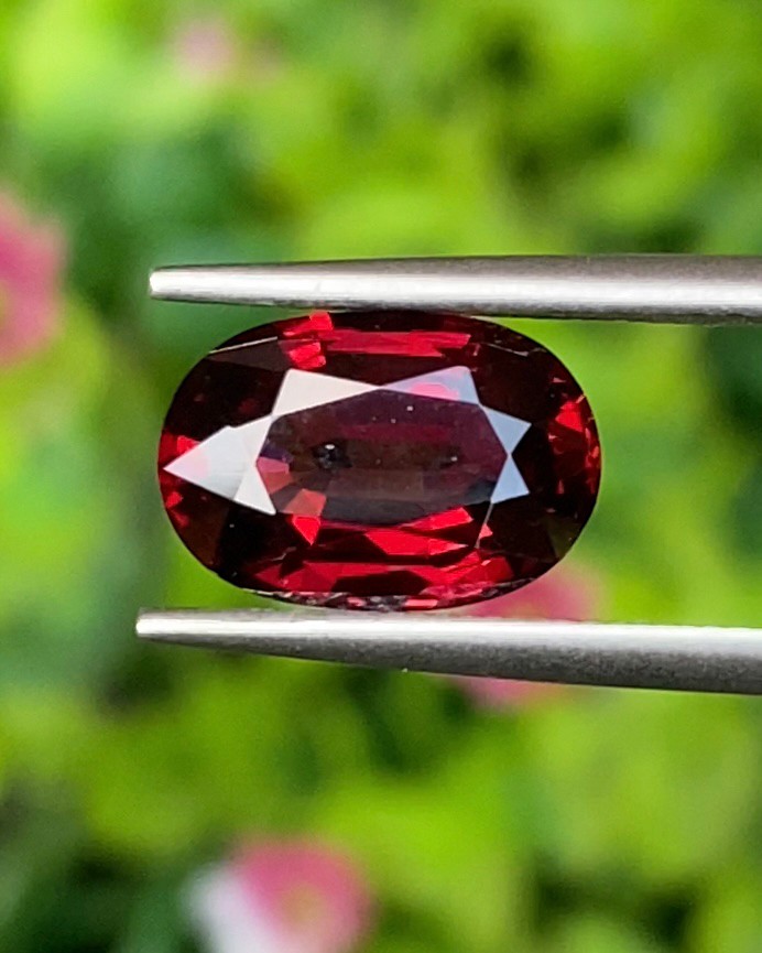 พลอย โรโดไลต์ กาเน็ท Rhodolite Garnet 3.00 กะรัต Cts.พลอยแท้ อัญมณีมงคลประจําวันเกิด เครื่องประดับพลอย
