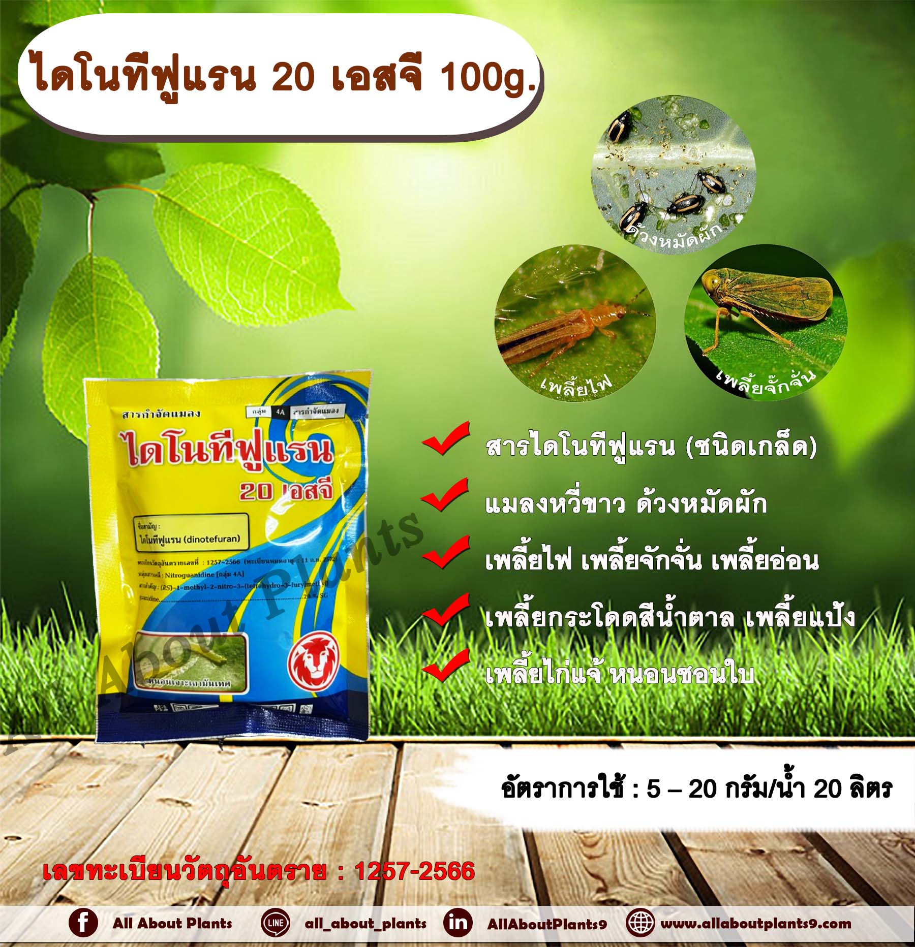 ไดโนทีฟูแรน 20 เอสจี 100g. ไดโนทีฟูแรน สารกำจัดแมลง เพลี้ย แมลง หนอน เพลี้ยไฟ เพลี้ยกระโดด ด้วงหมัดผัก แมลงหวี่ขาว เพลี้ยอ่อน เพลี้ยแป้ง เพลี้ยจักจั่น เพลี้ยไก่แจ้ หนอนชอนใบ ซอง
