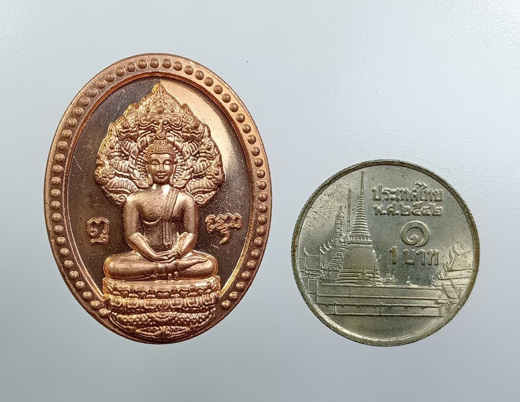 A7525 เหรียญพระนาคปรก หลังพระธาตุพนม วัดพระธาตุพนมวรมหาวิหาร จ.นครพนม อายุวัฒนมงคล 74 ปี พระเทพวรมุนี ปี 2557