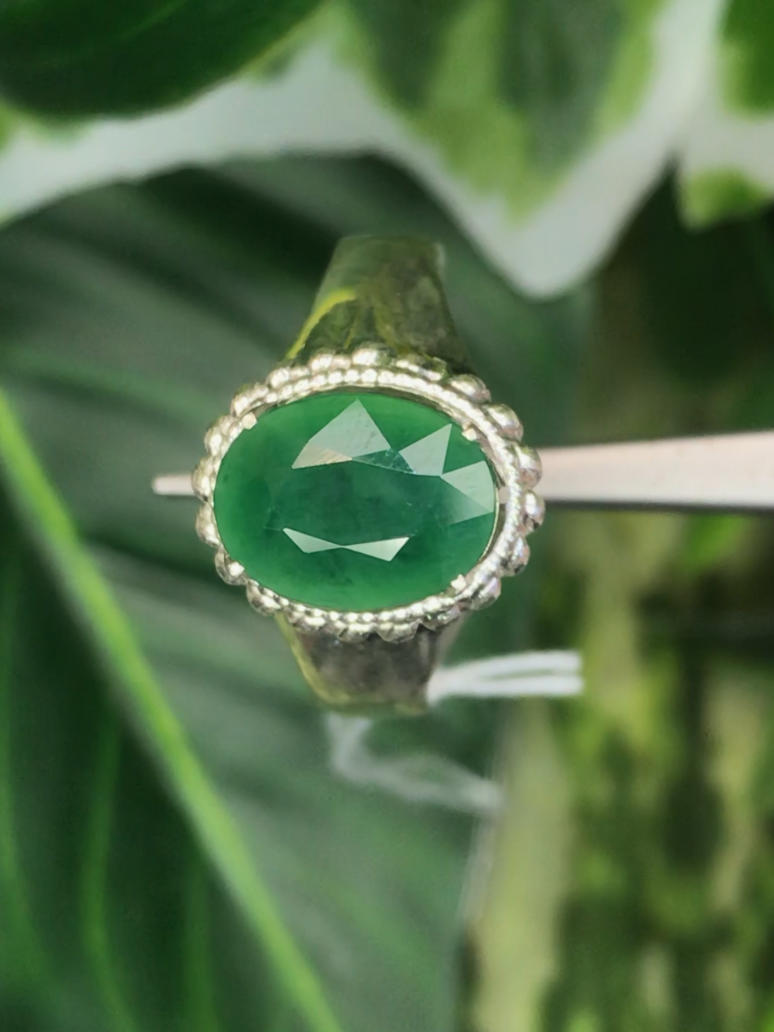 หยก พม่า แท้ Jade แหวนหยก 翡翠戒指 (Jadeite ring) ดิบ (Size) 55 ไม่ผ่านการปรับปรุง (Type A) พม่า (Myanmar)